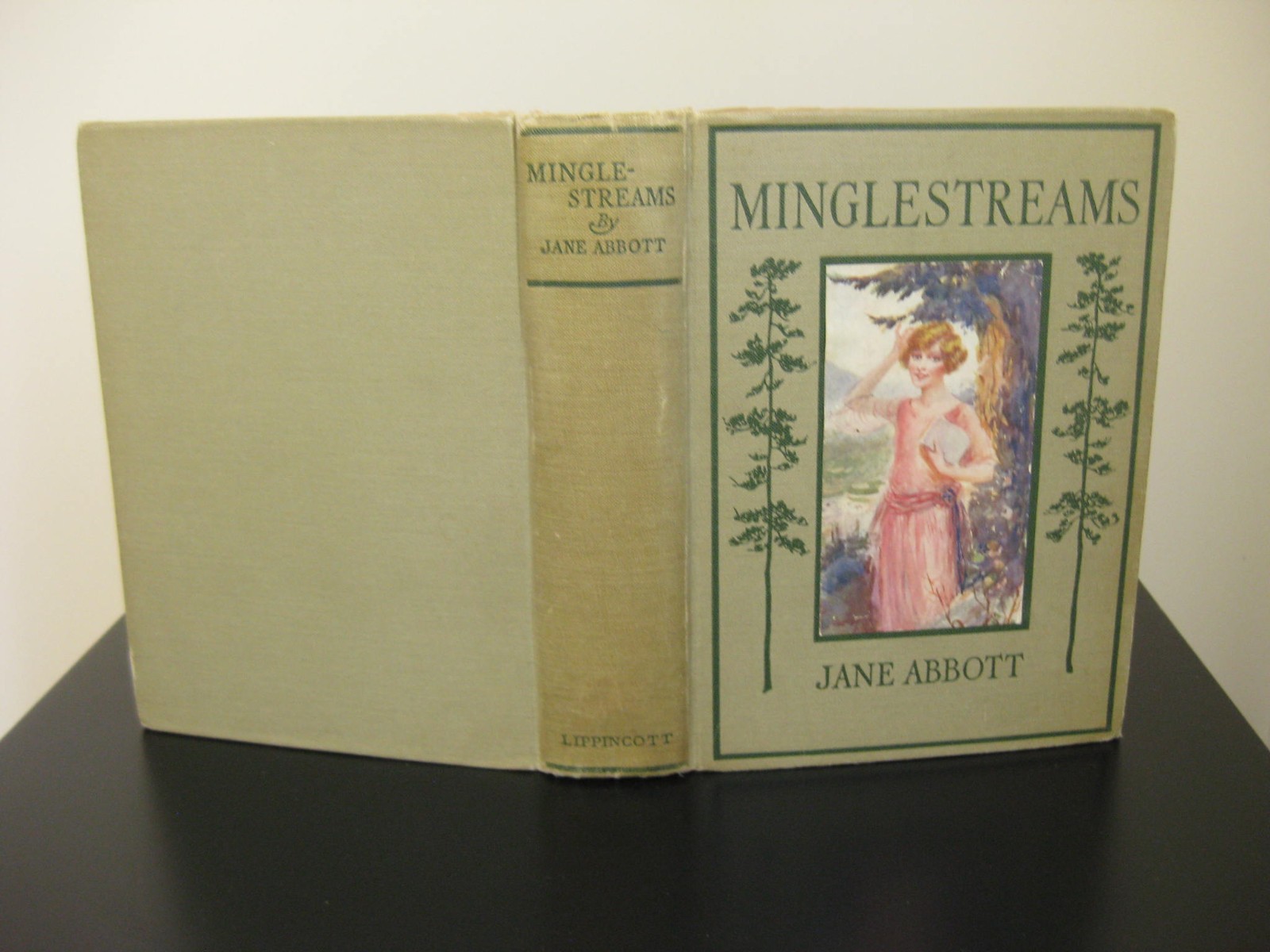 2 JANE ABBOTT Books MINGLESTREAMS + HAPPY HOUSE $12 EACH * GIRLS SERIES BOOKS