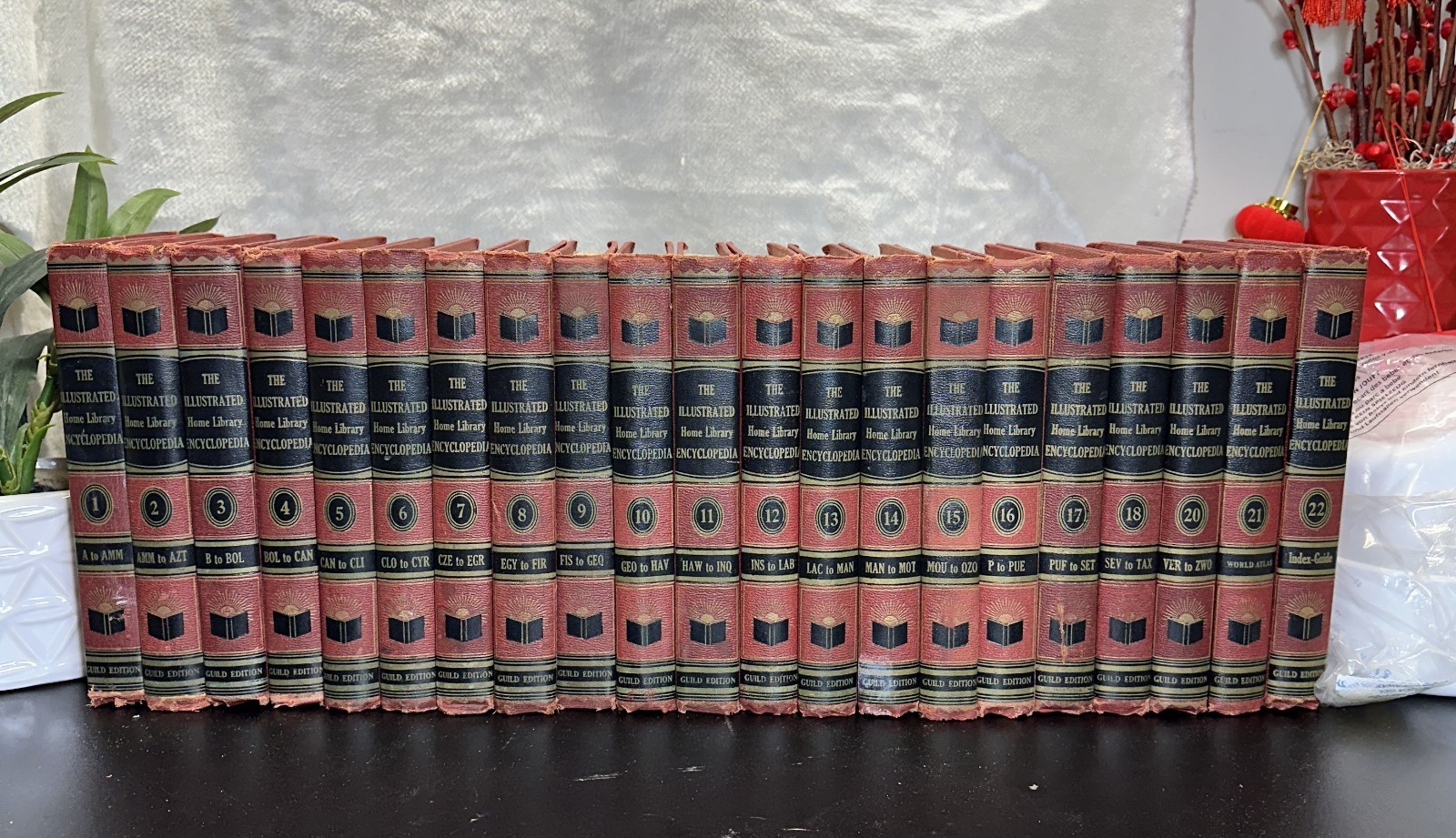 The Illustrated Home Library Encyclopedia Set Vintage (1958) Volume #19 Missing