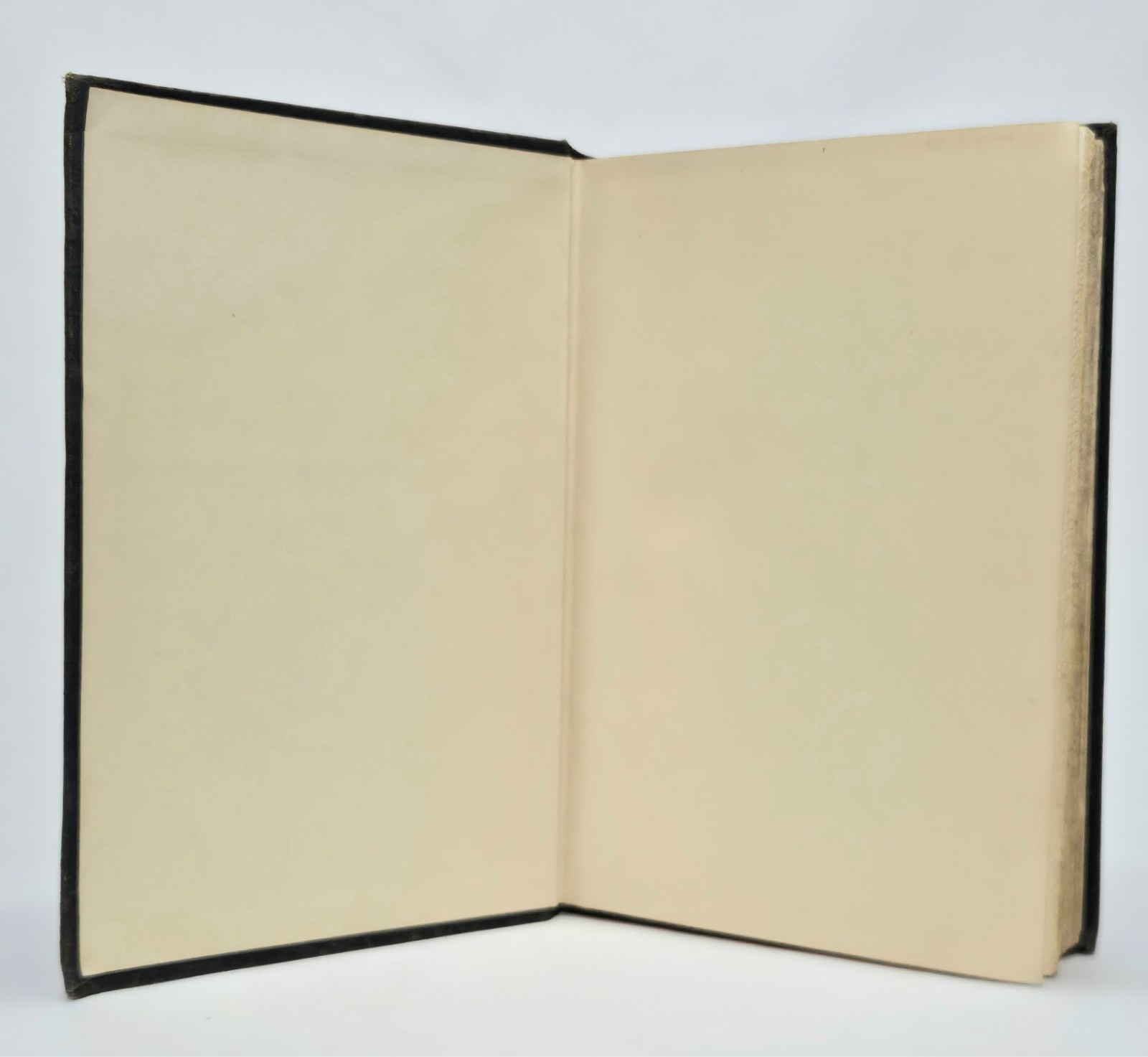Appassionata Fannie Hurst 1926 First Edition First Printing Hardcover