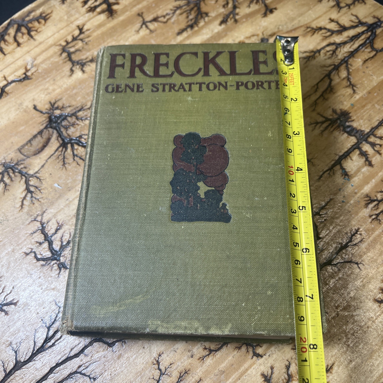 Freckles Gene Stratton Porter 1904 Vintage Antique 1st Edition for Young Adults