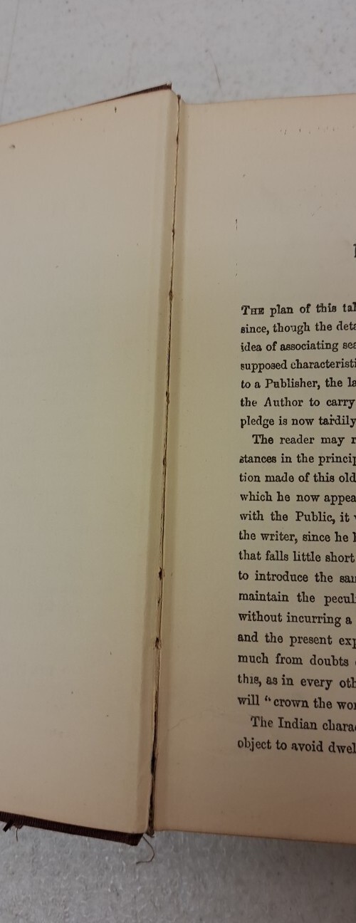 Antique Printing, The Pathfinder, J Fenimore Cooper Lupton Publishing Co #2.5.16