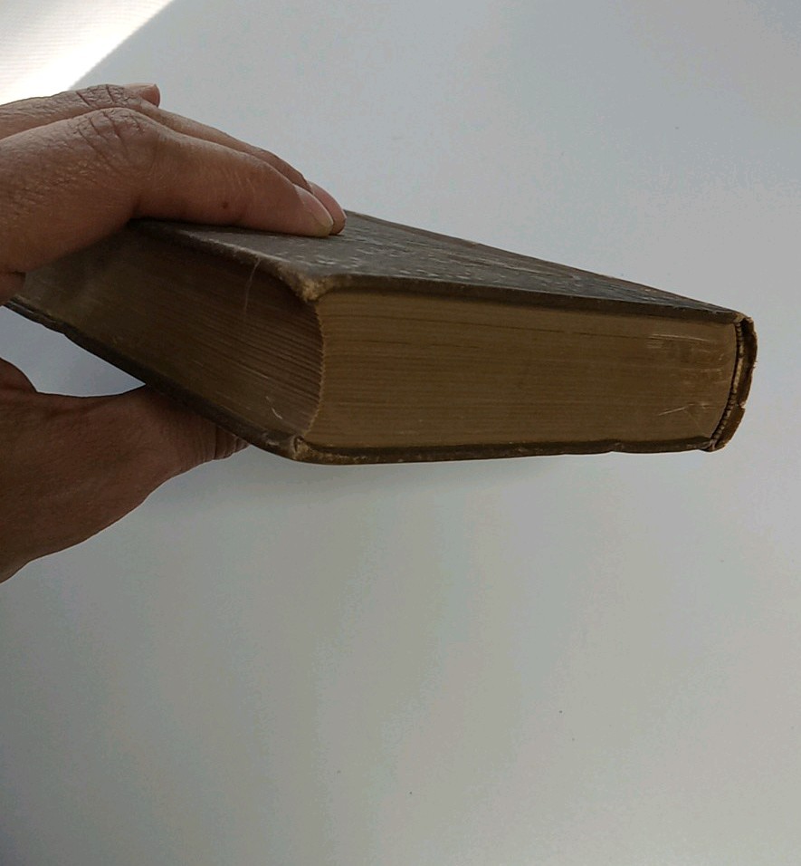 The Pirate By Sir Walter Scott Waverly Novels