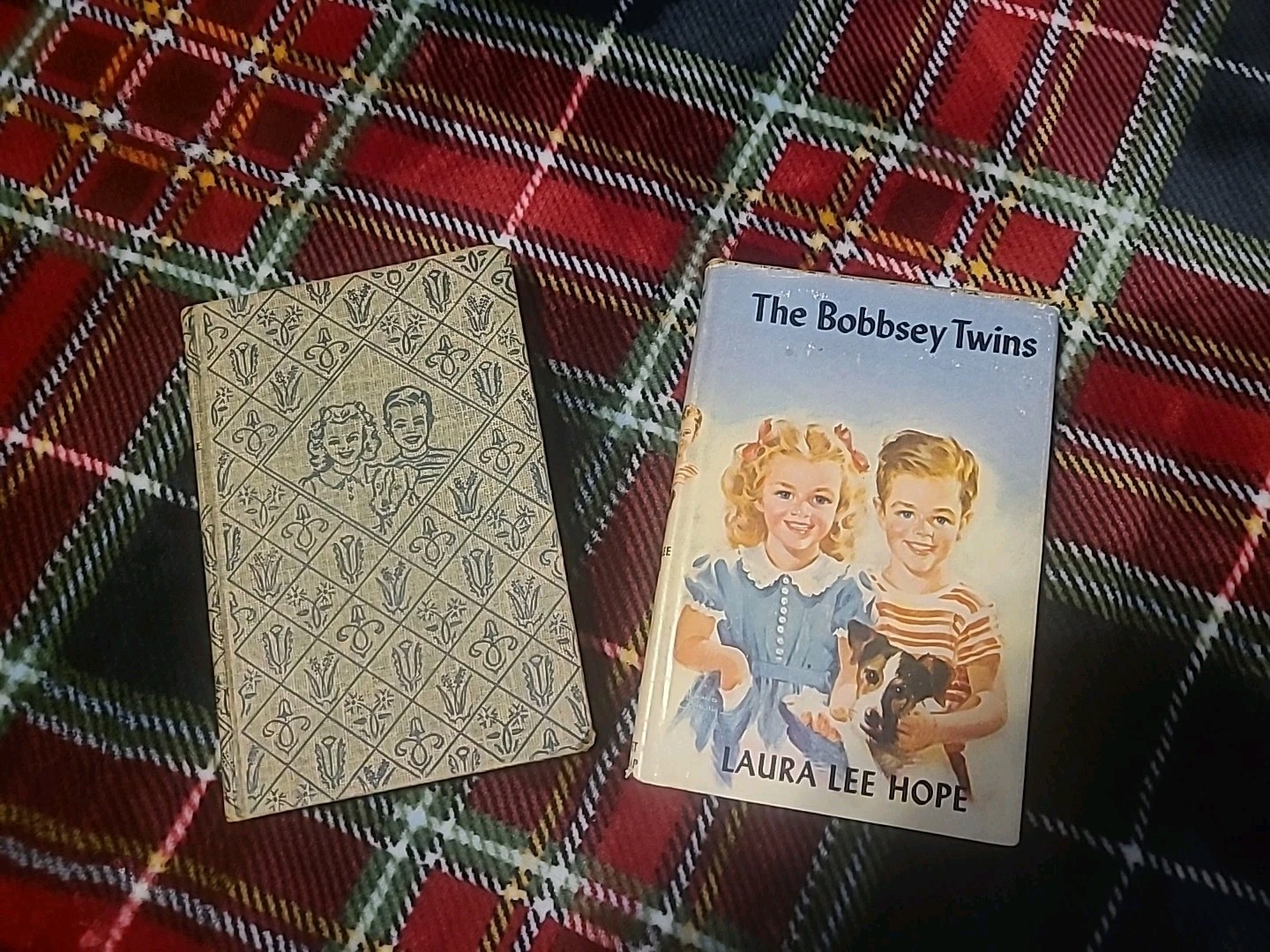 Two Books The Bobbsey Twins