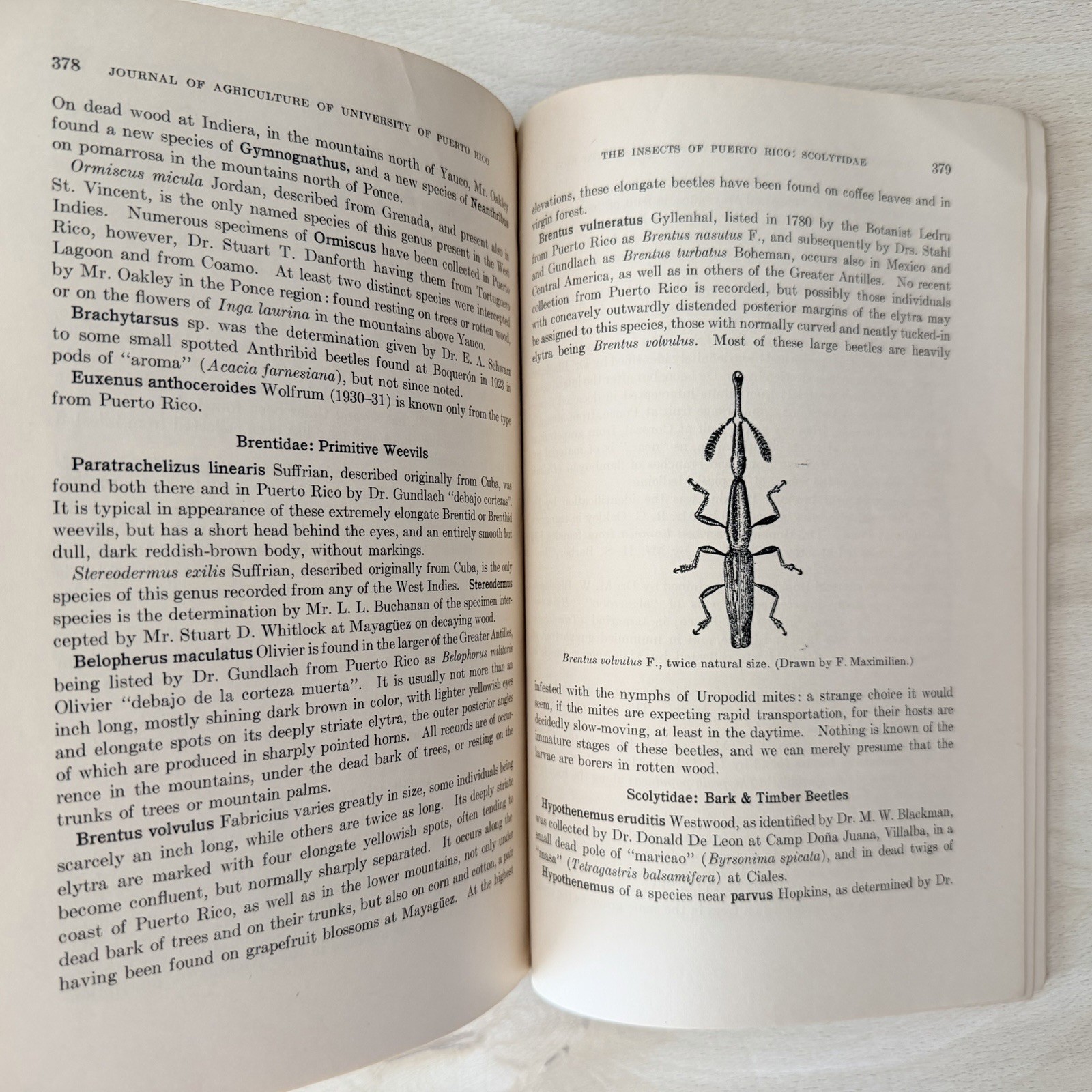 1948 University Puerto Rico Agriculture INSECTS George WOLCOTT Vol 32 No. 2