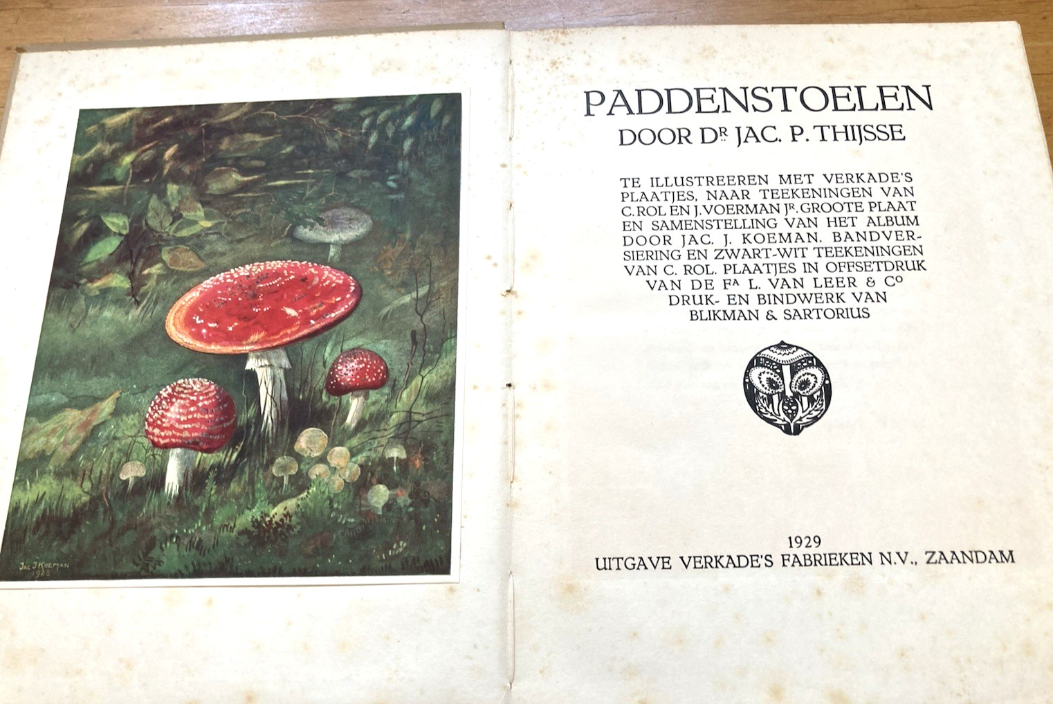 MUSHROOMS-1929 DUTCH BOOK-PADDENSTOELEN by Door Dr. Jac P Thijsse-A to Z-CARDS