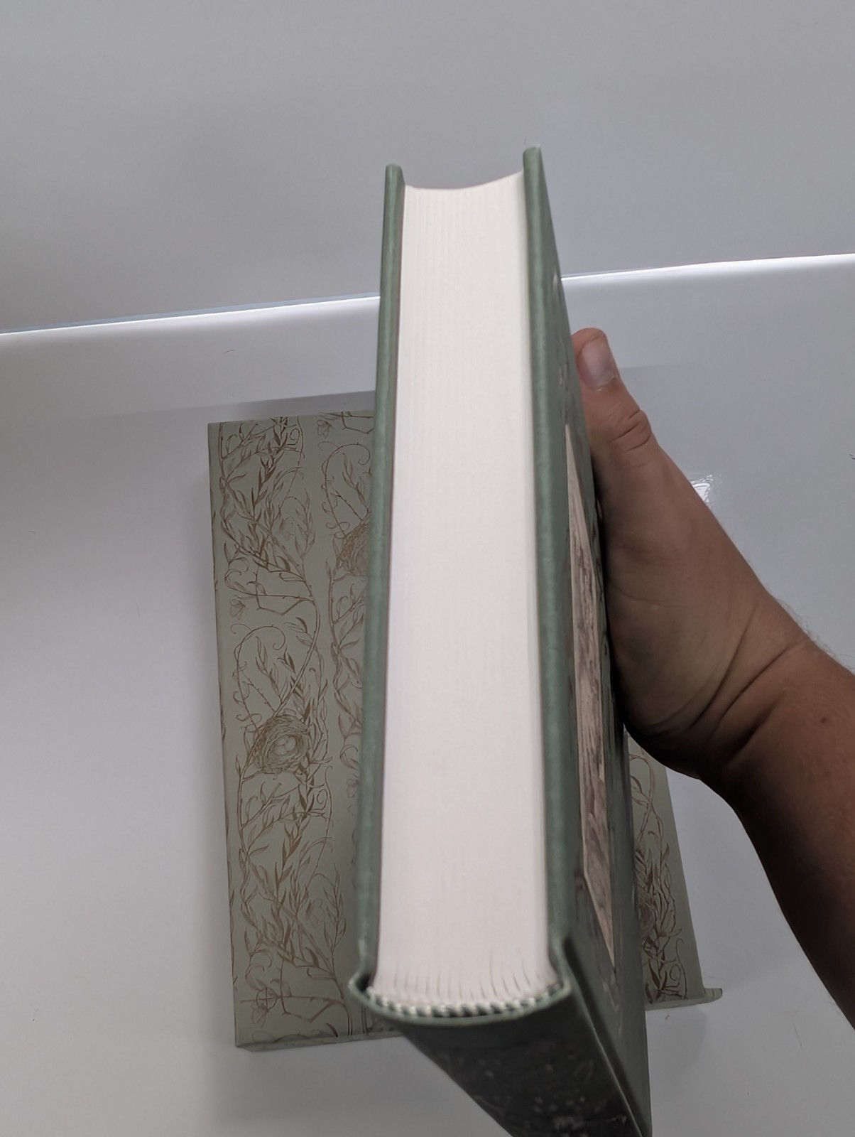 Folio Society ‘The Wind in the Willows’ by Kenneth Grahame HB 2010 IMMACULATE