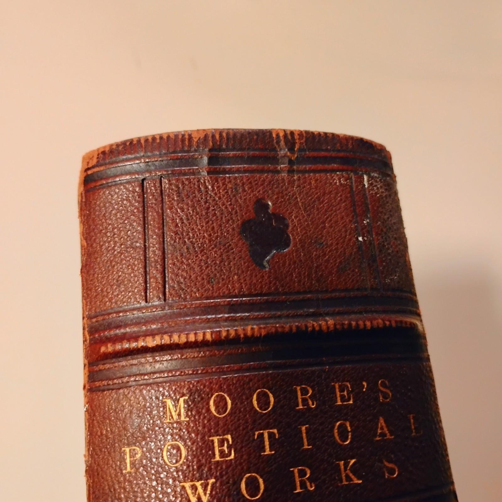 1850s The Poetical Works of Thomas Moore LEATHER Fine Binding Celtic Knot Gilt