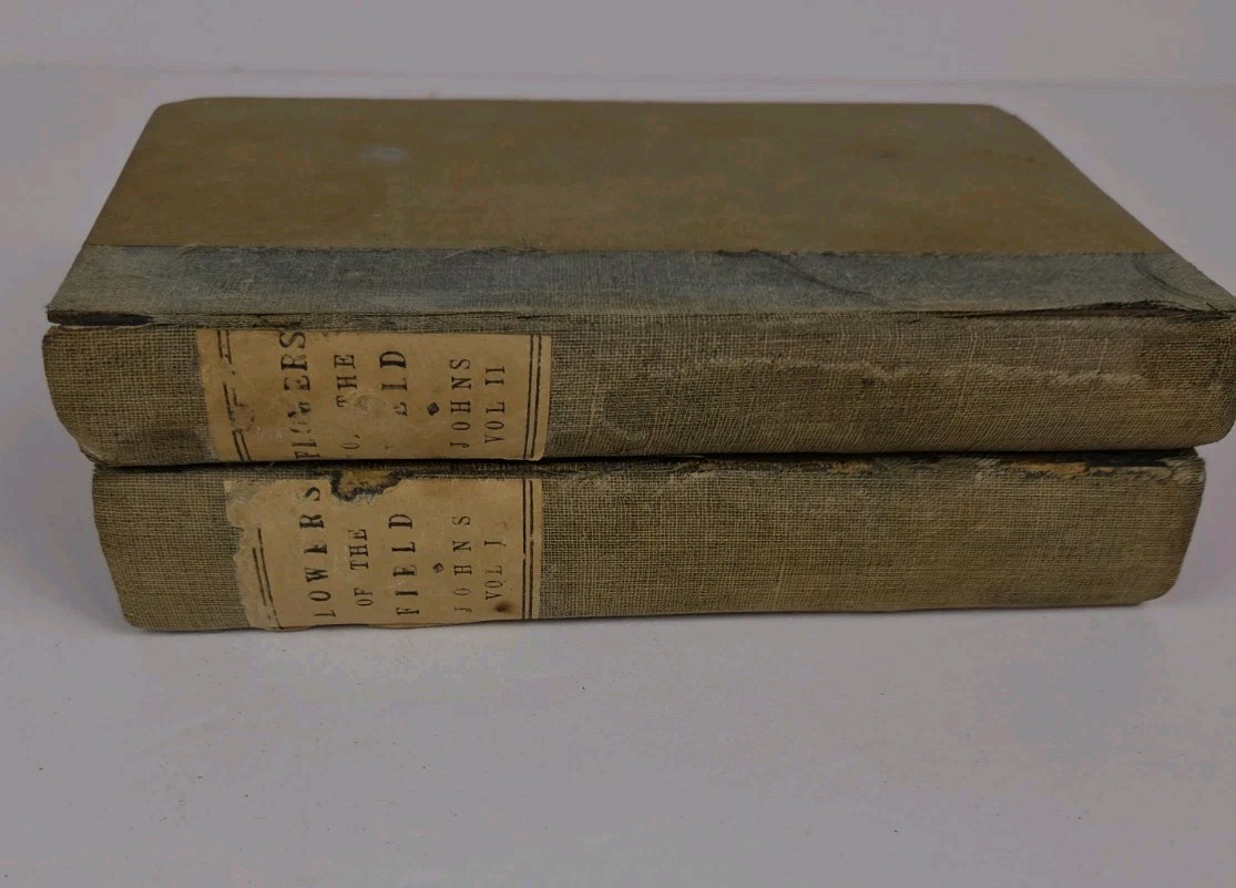 Flowers of the Field by Rev C. A. Johns, Revised by G.S. Boulger, Vol I & II