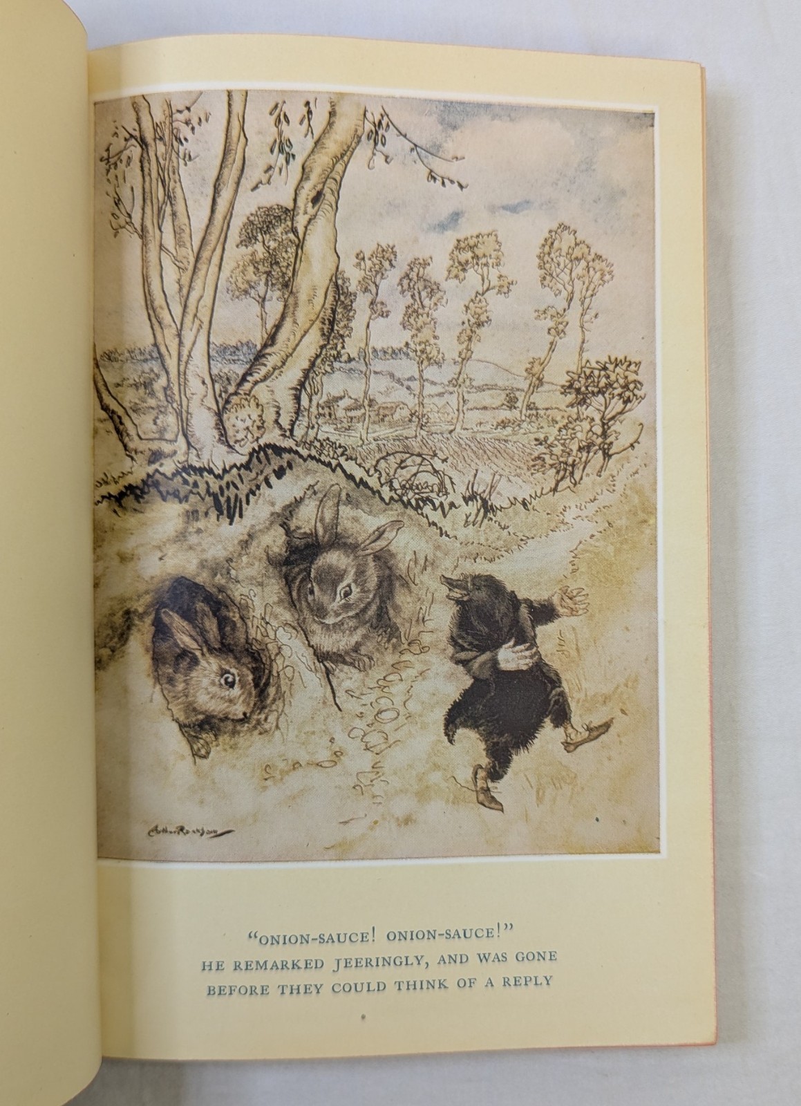 Vintage Wind in the Willows Kenneth Grahame Arthur Rackham Heritage Press 1940s