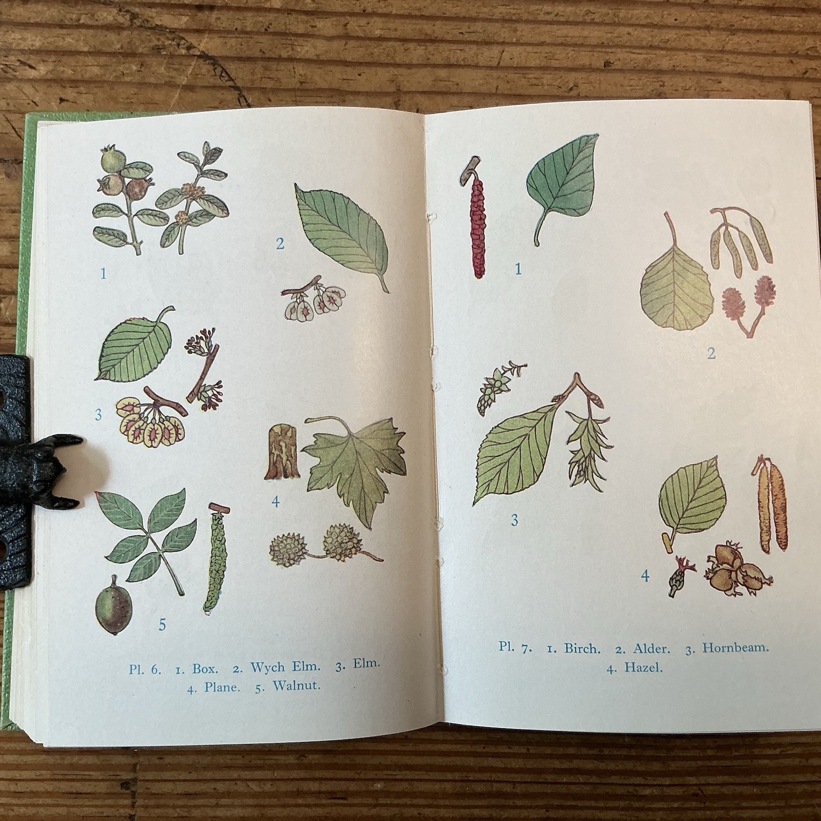 lot Of 2 THE OBSERVER’S BOOK OF CATS / TREES – Pocket Books Vintage Very Good