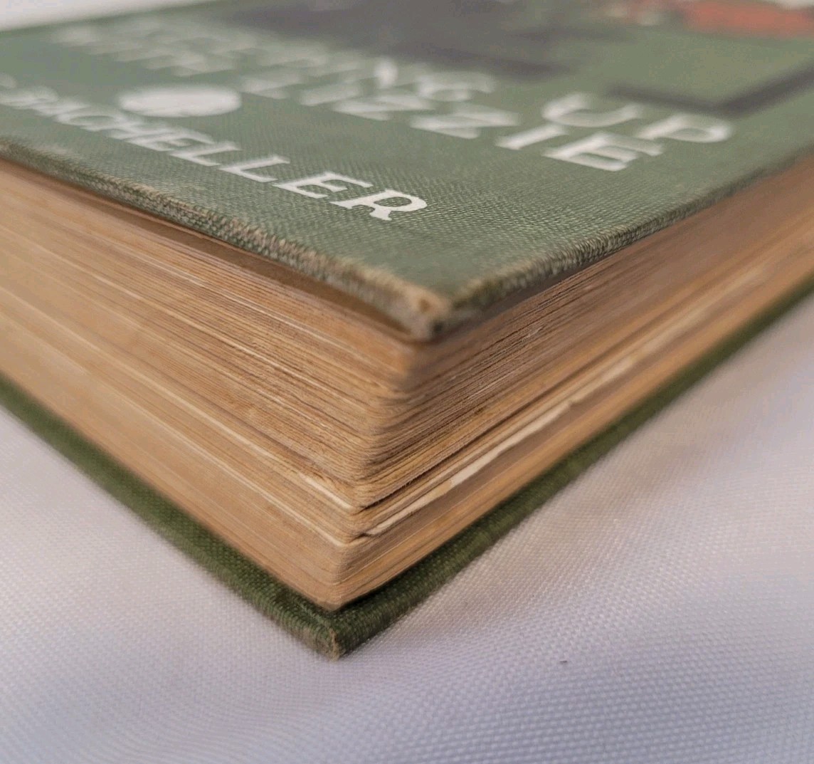 Antique Book “Keeping Up with Lizzie” By Irving Bacheller 1911 Illustrated Ed.