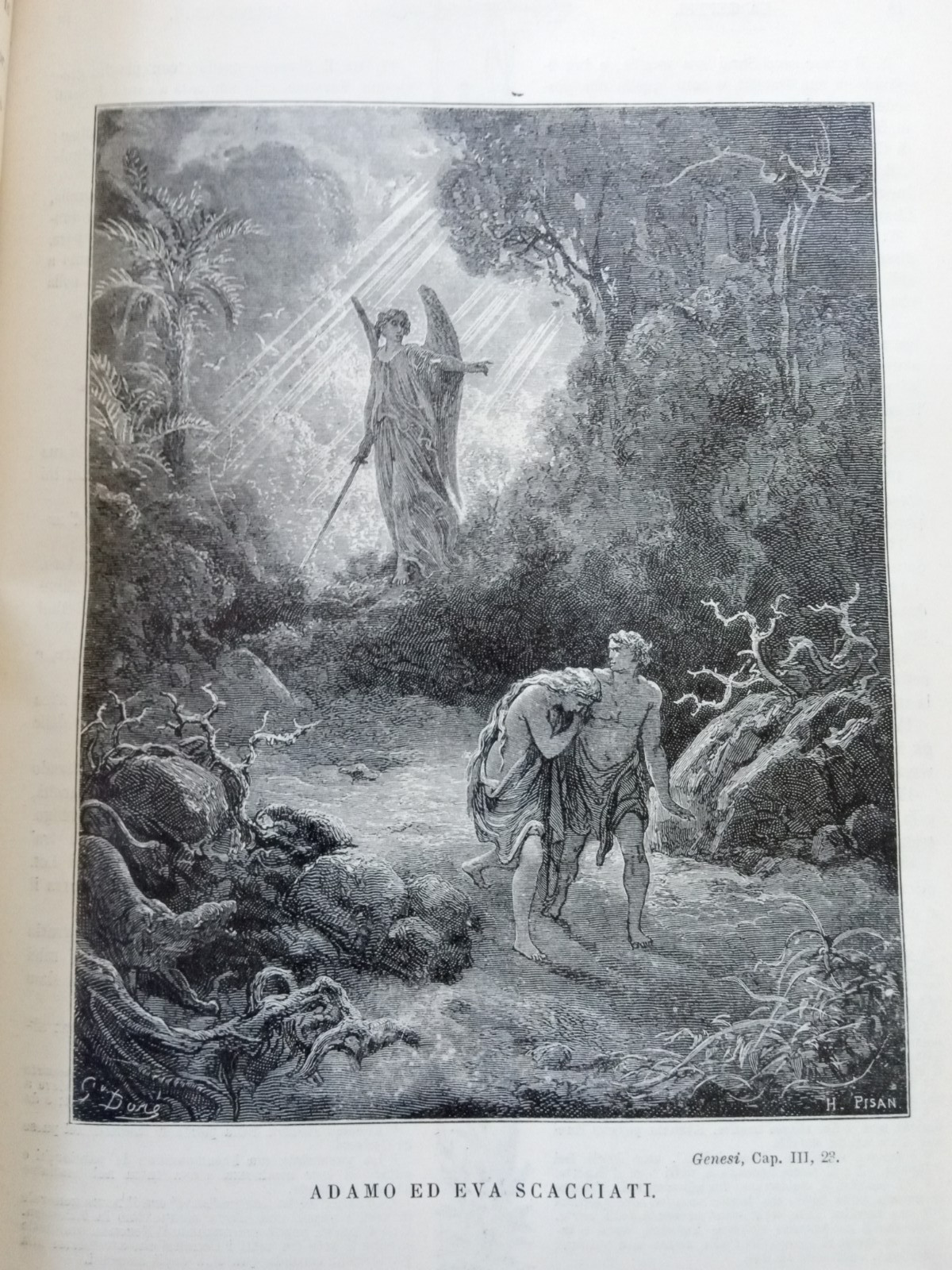 Sacra Bibbia Secondo La Vulgata ANTONIO MARTINI Gustavo Dore Vol. 1 HC 1906