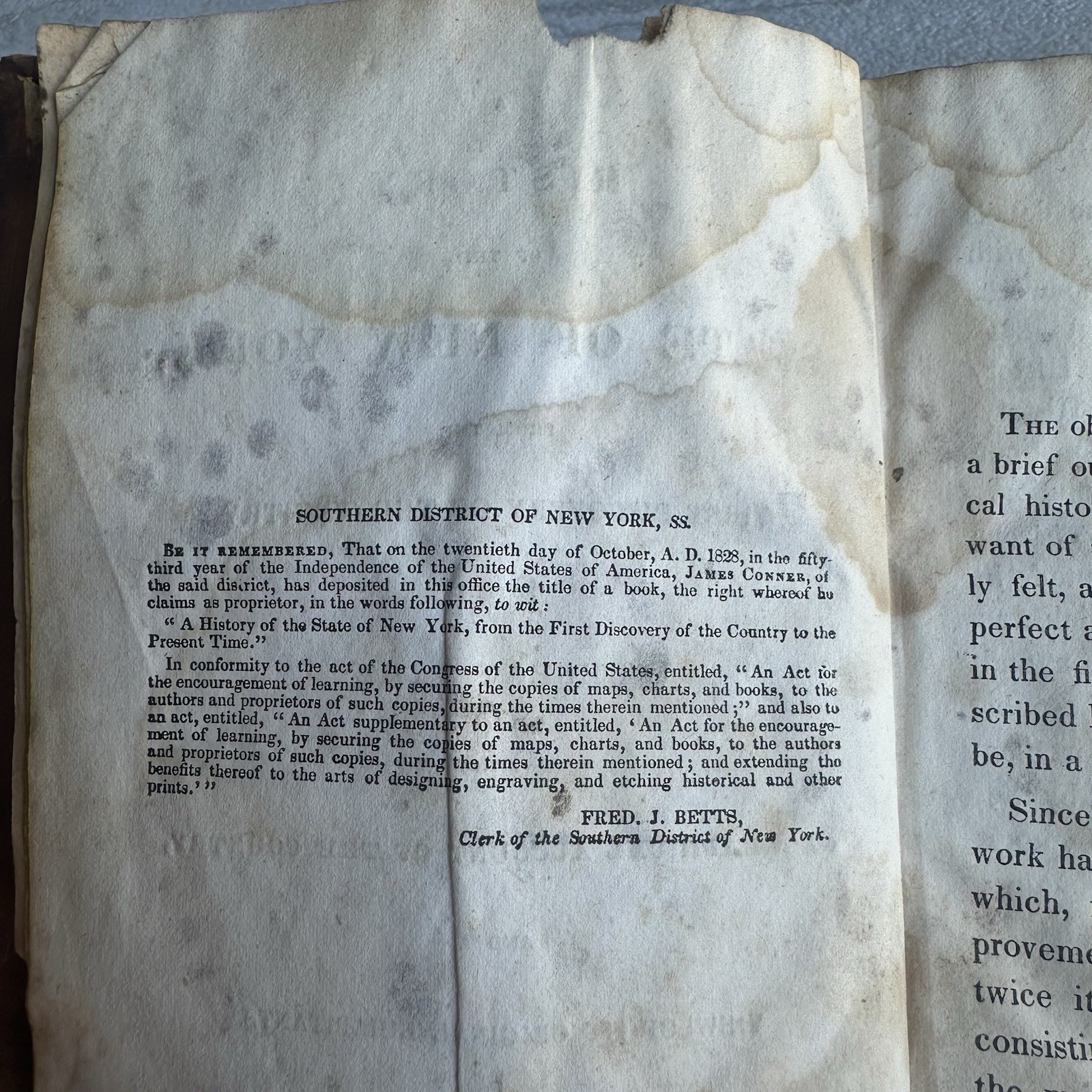 1831, History Of The State Of New York, Eastman, Illustrated Leather Bound