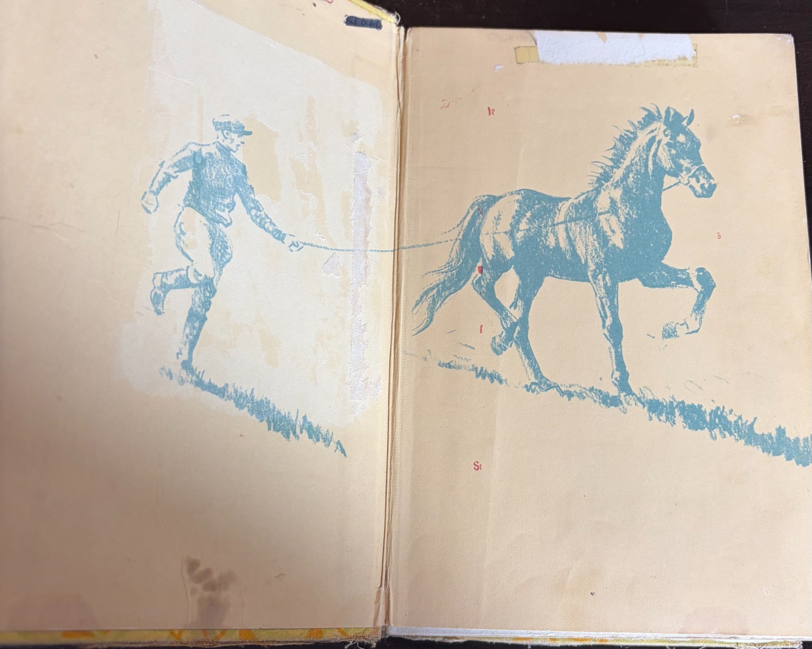 Black Beauty Autobiography of a Horse Anna Sewell 1946 1st Printing – Ultra Rare