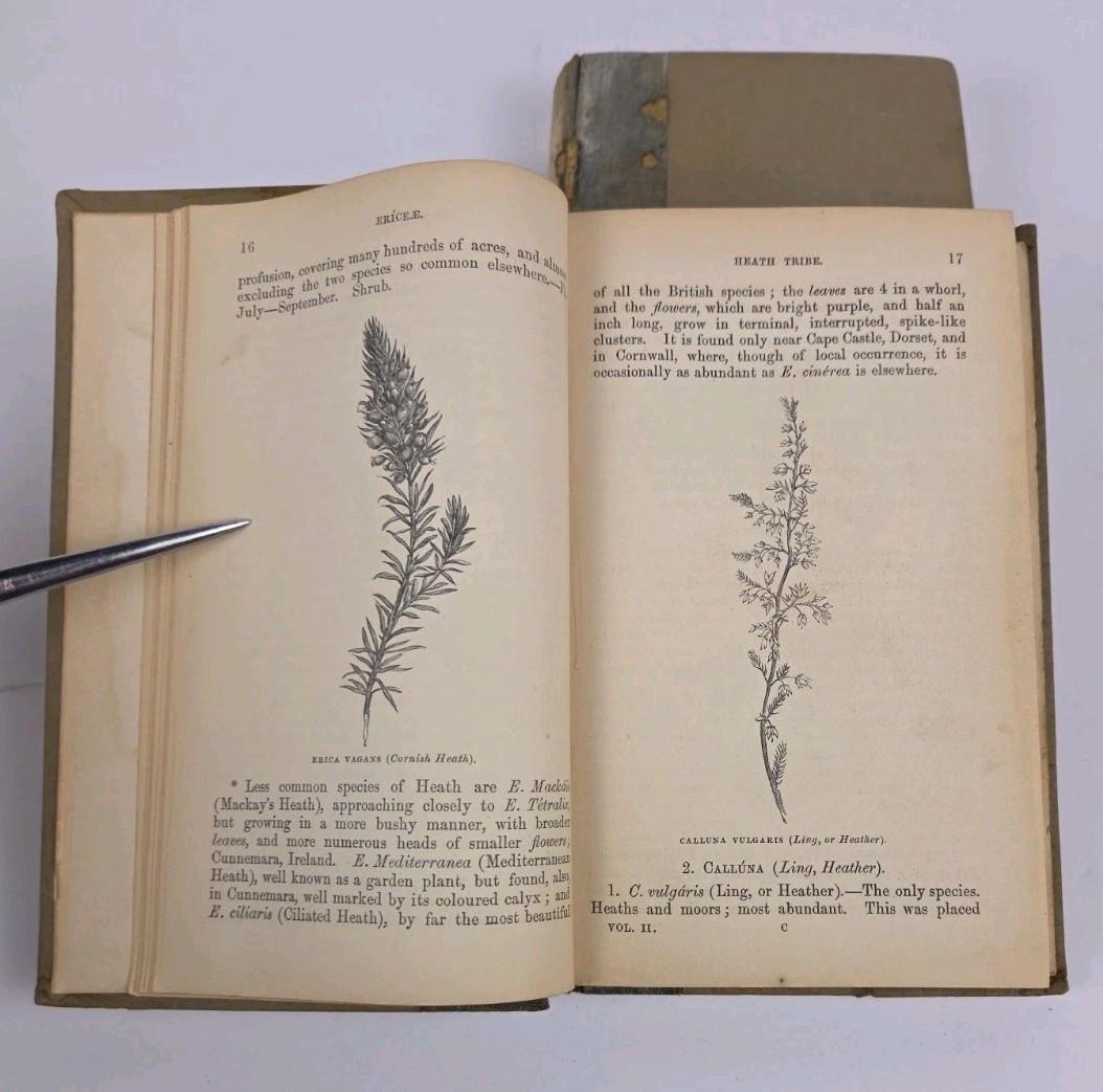 Flowers of the Field by Rev C. A. Johns, Revised by G.S. Boulger, Vol I & II