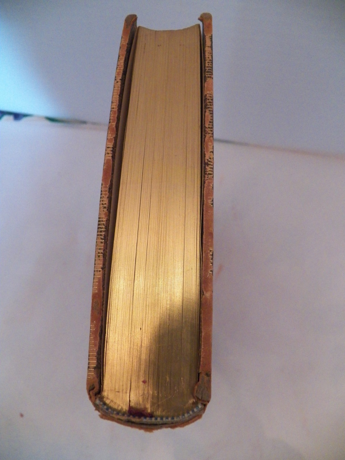 LUCILE IN FULL LEATHER BOUND, BY OWEN MEREDITH 1892