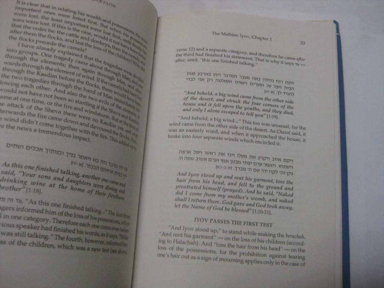 Fine Lines of Faith: A Study of the Torah’s Outlook Human Suffering IYOV MALBIM