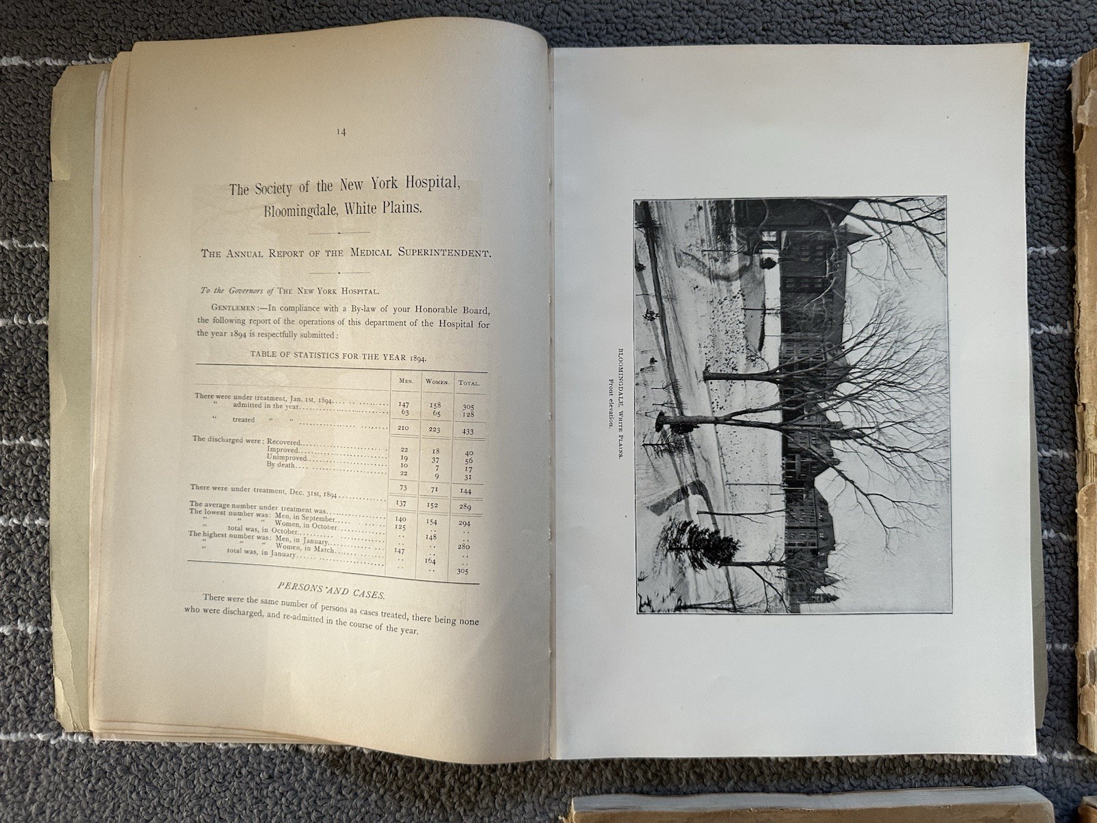 Society Of The New York Hospital / Bloomingdale Asylum Annual Reports NY Insane