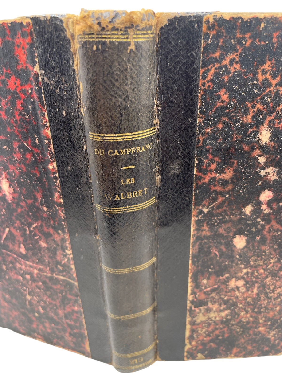Antique French Book 1885 M du Camp franc Les Walbret