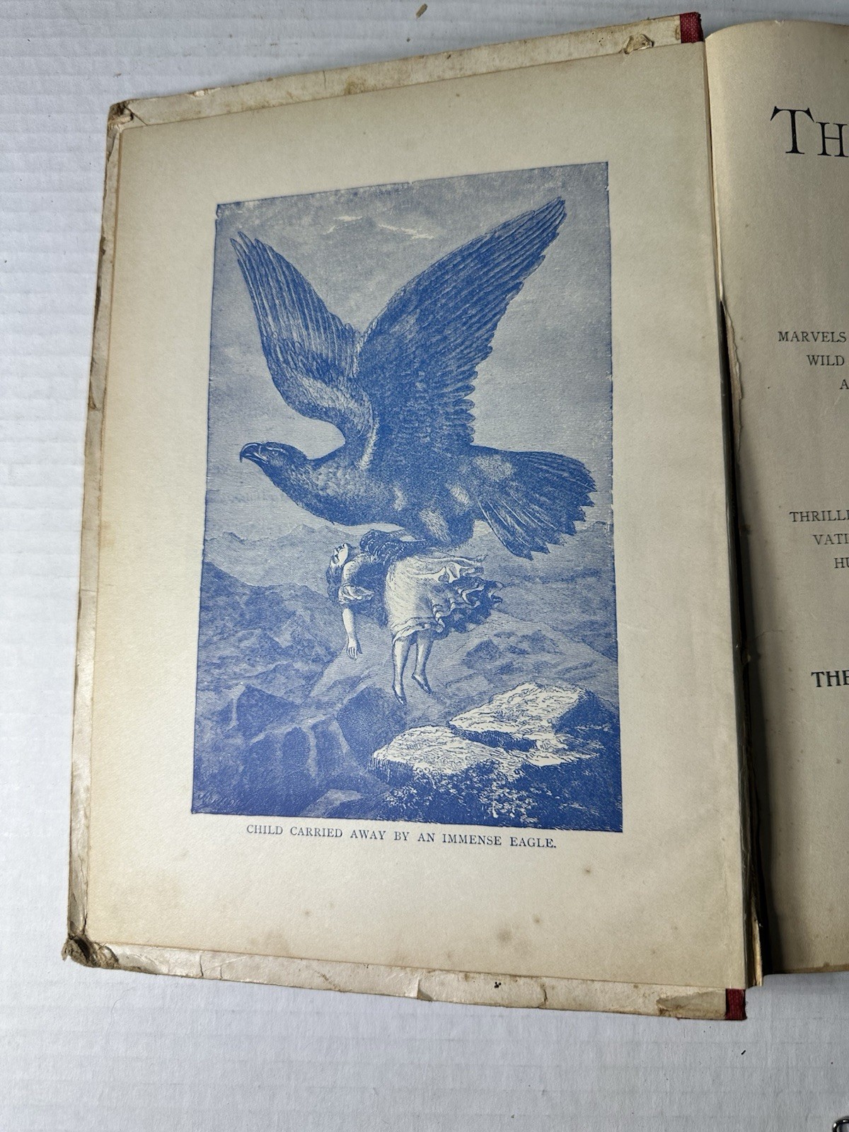 Vintage The King Of The Circus 1902 Book Unknown Publisher And Author 224 Pages