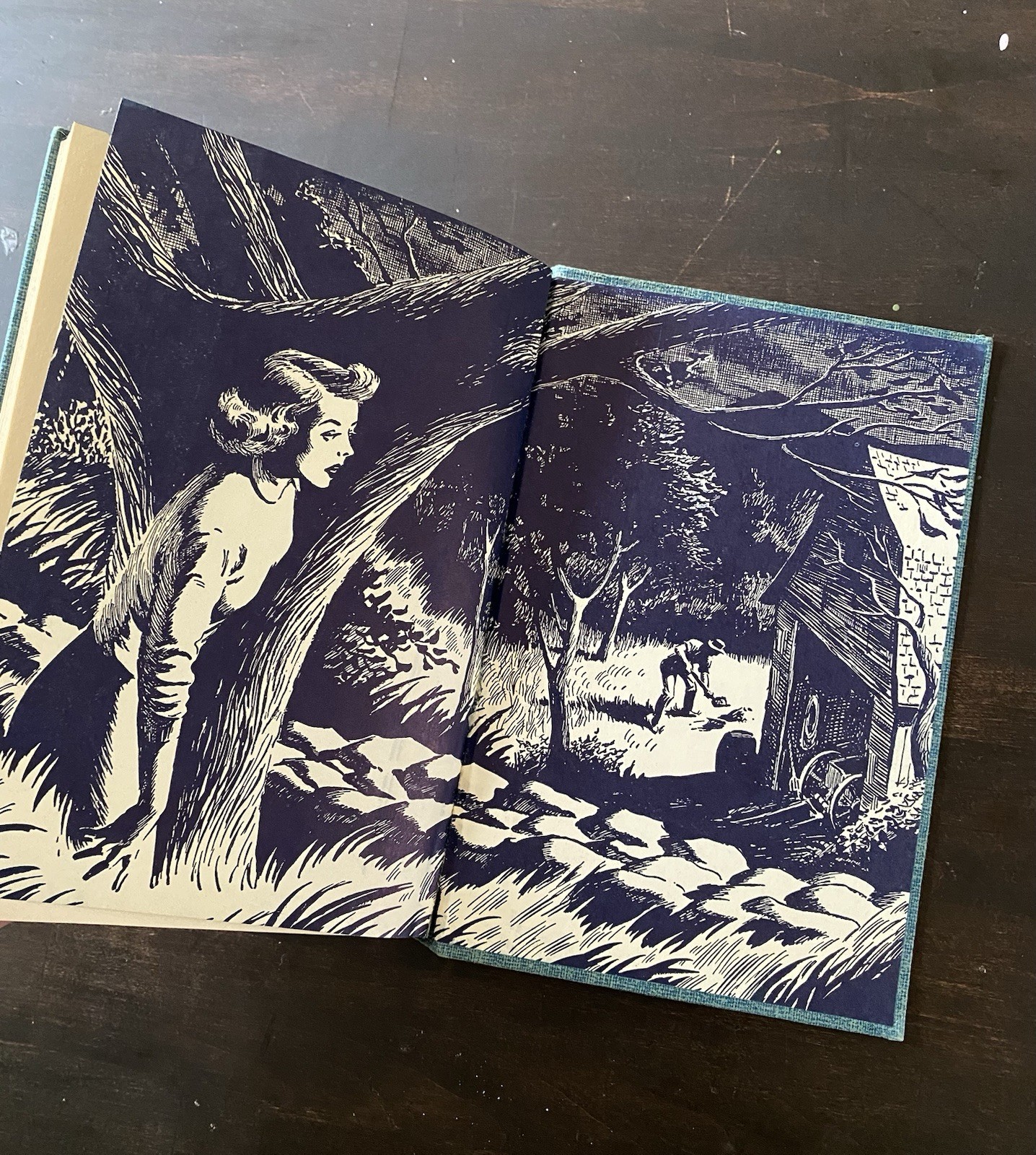 Nancy Drew 34 The Hidden Window Mystery