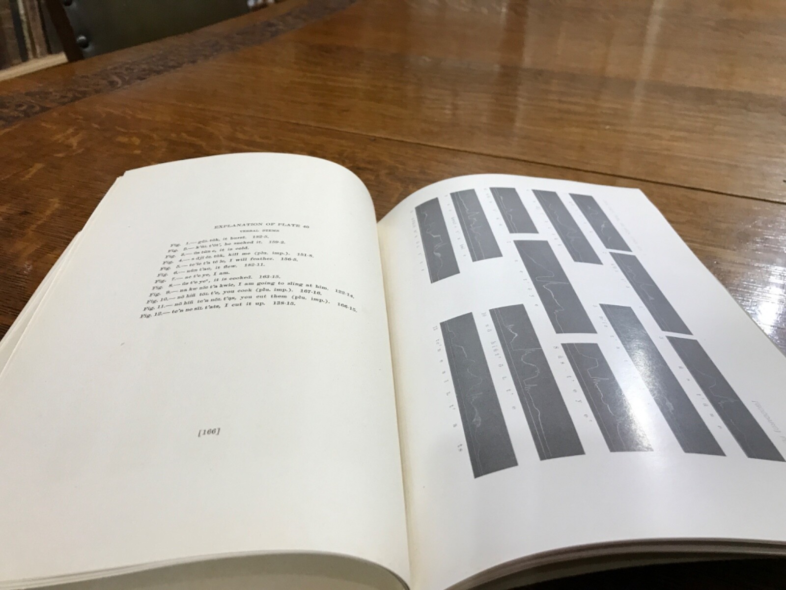 1912 Elements of the Kato Language Pliny Earle Goddard Illustrations