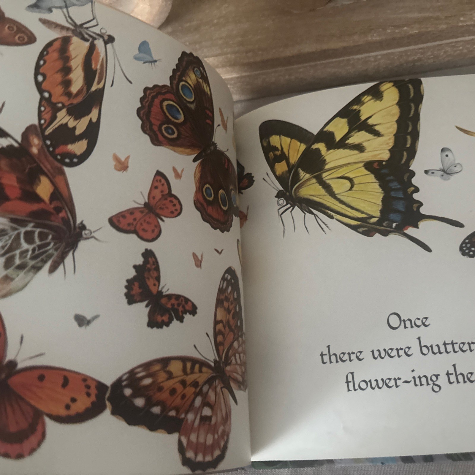 Once There Were Bluebirds By Bernard Martin 1st Ed Illustrated Vintage 1970