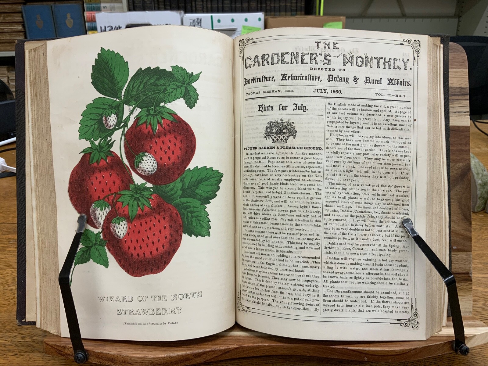 1860 Gardener’s Monthly + Horticulture Thomas Meehan Volume 2 Color Plates