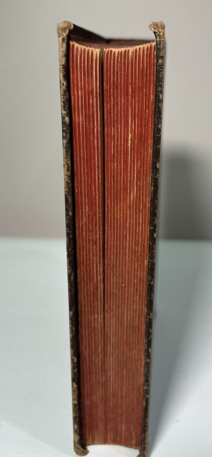 1879 Decorum Etiquette of American Society Illustrated Victorian Hardcover