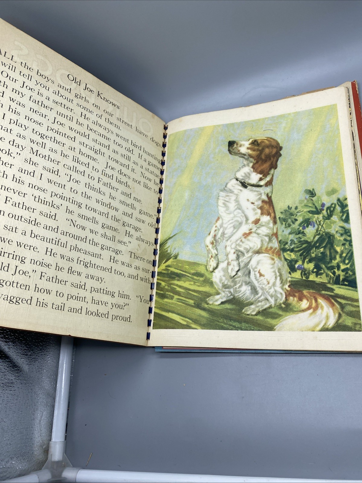 Picture Story Book 1943 Saalfield Various Animals HC DJ Spiral Beautiful Artwork