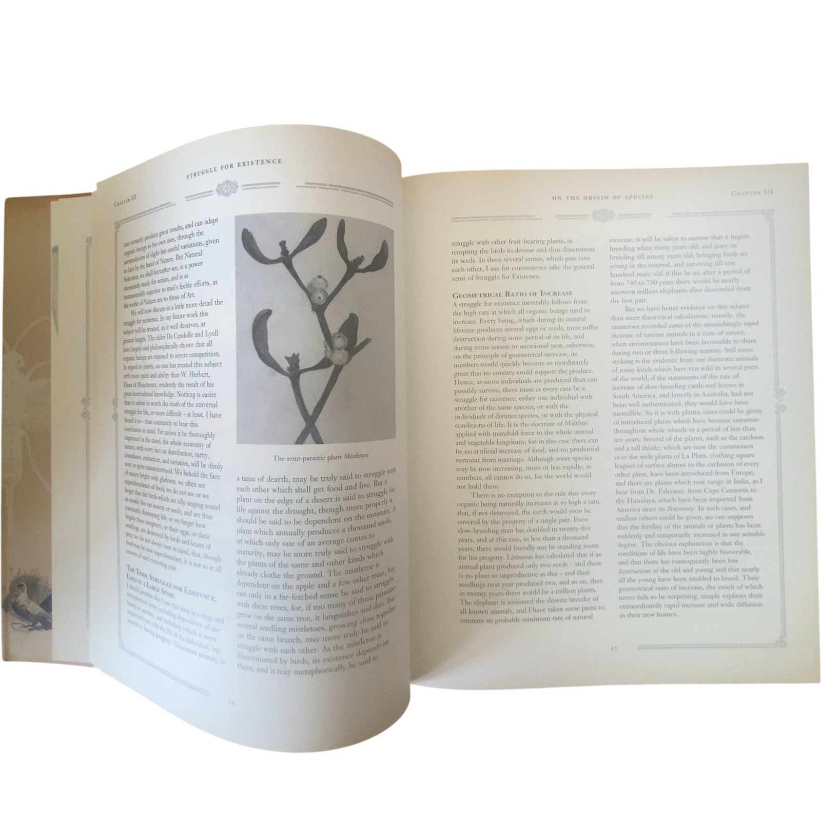 On The Origin Of Species Means Of Natural Selection Charles Darwin Illustrated