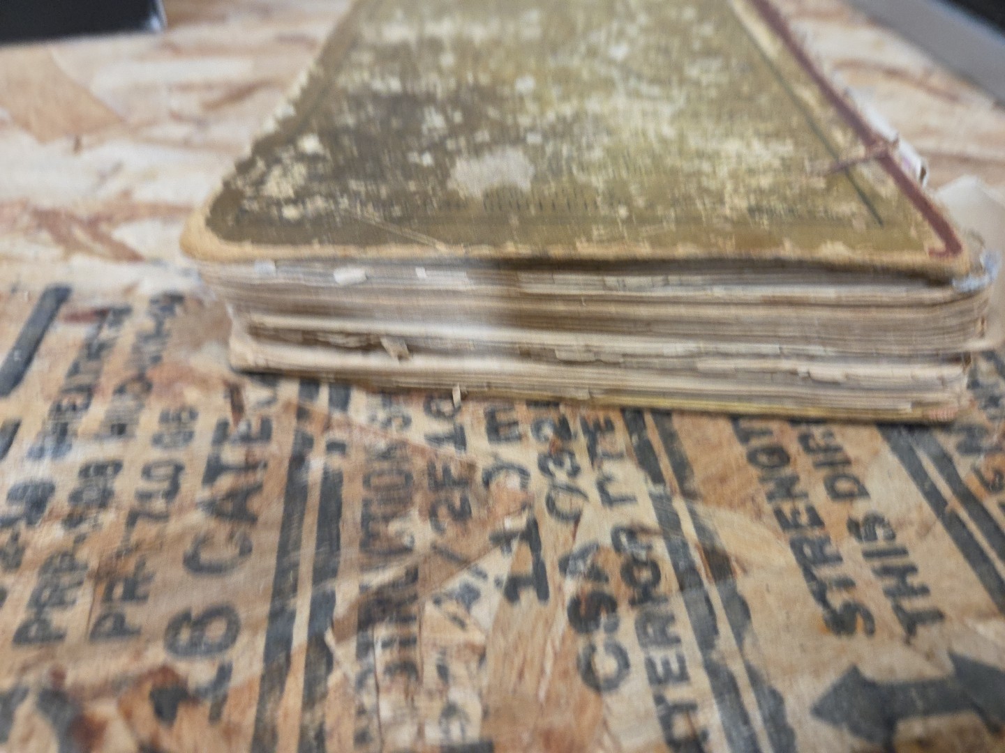 Mother Goose Nursery Rhymes 1877 George Routledge And Sons New York London 1st?