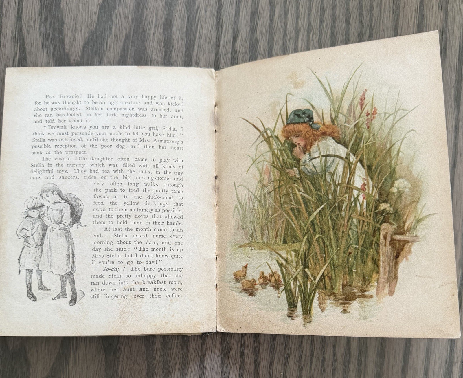 Very Pretty, Victorian Children’s Book Late 1800s, Rare