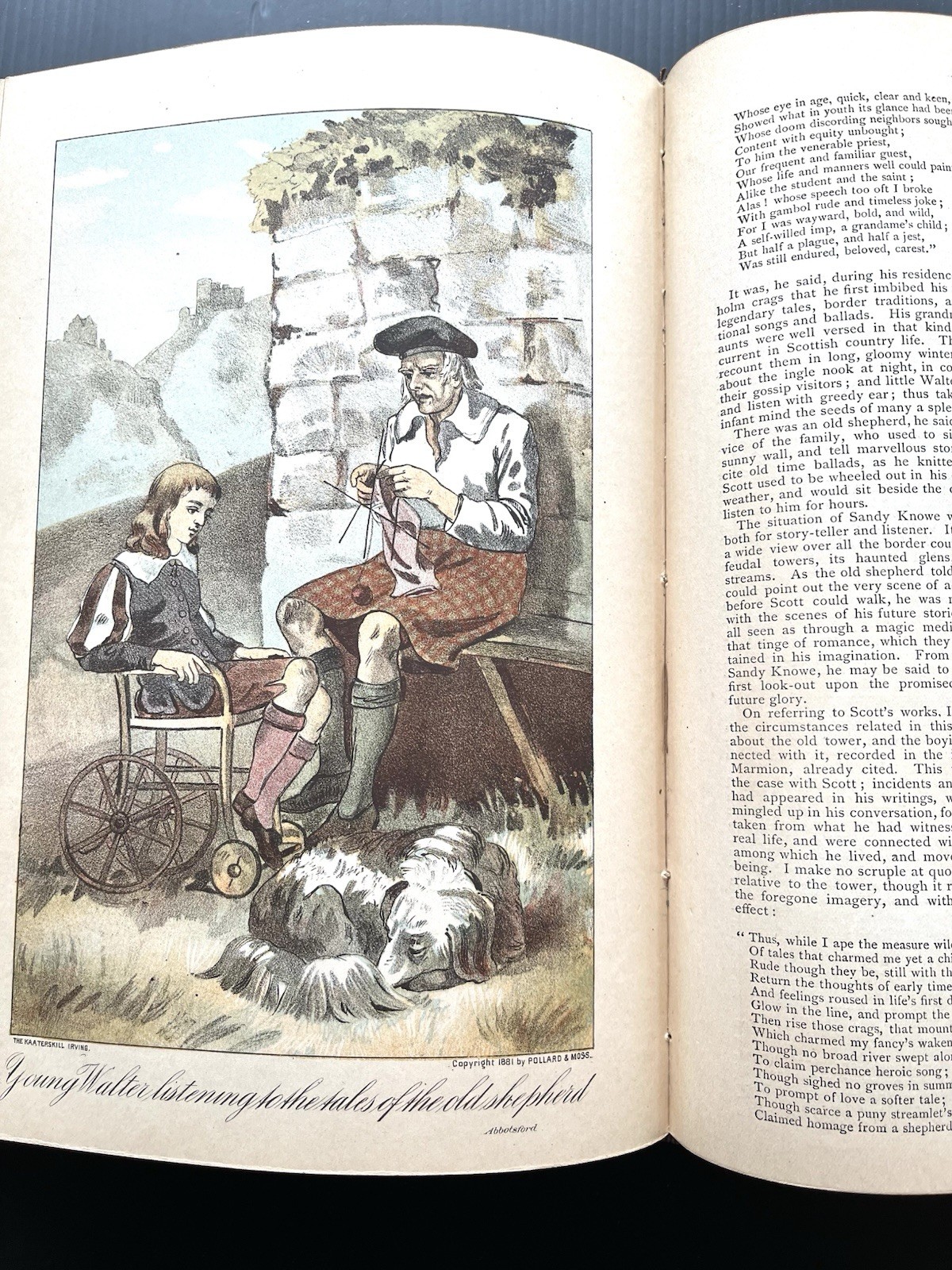 1882 Washington Irving Life & Works Kaaterskill Edition Illustrated 2 Volumes