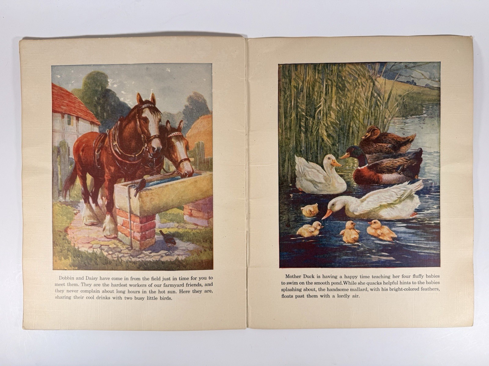 1939 Farmyard Folk Whitman Publishing Children’s Linen Book Animal Stories
