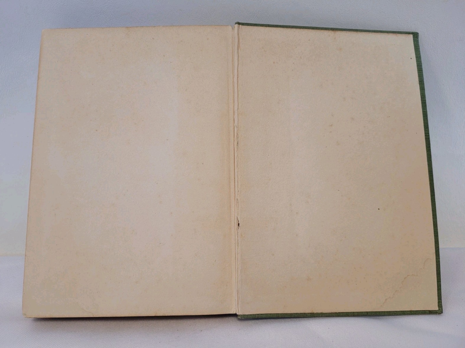 Antique Book “Keeping Up with Lizzie” By Irving Bacheller 1911 Illustrated Ed.