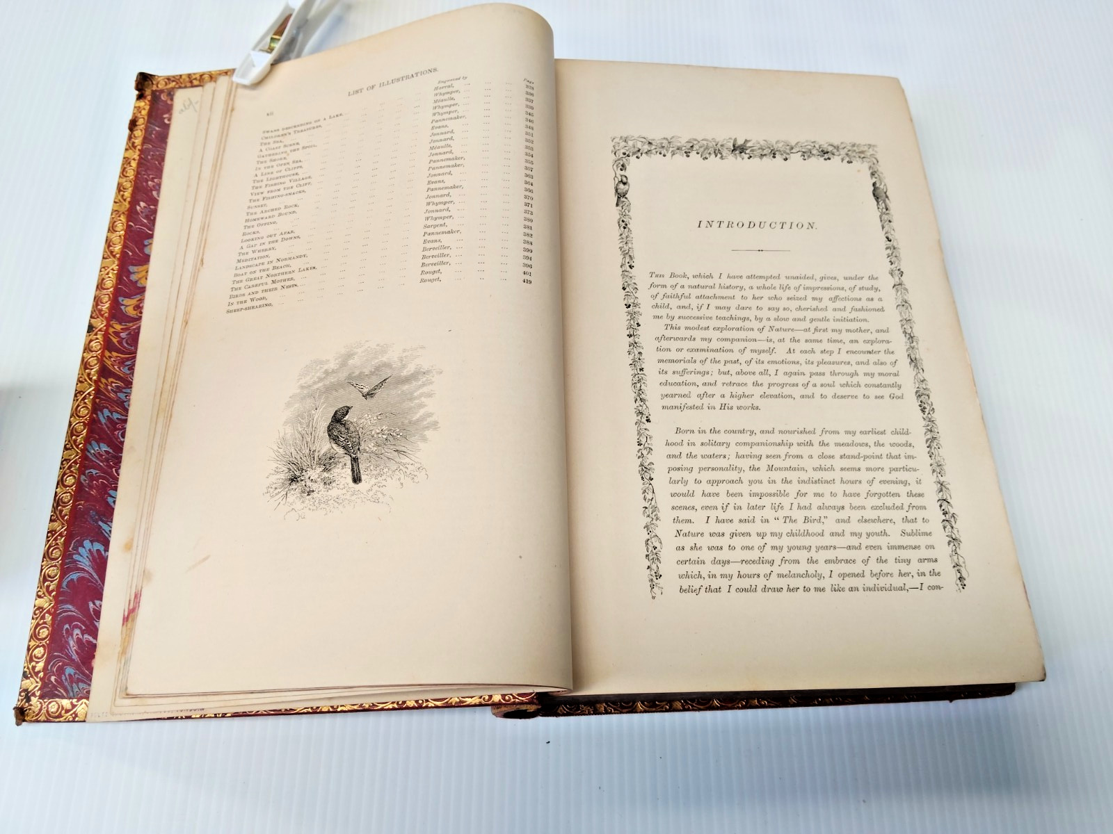 Stunning Antique Book 1893 Michelet Nature Embossed Leather Ipswich Grammar -AF