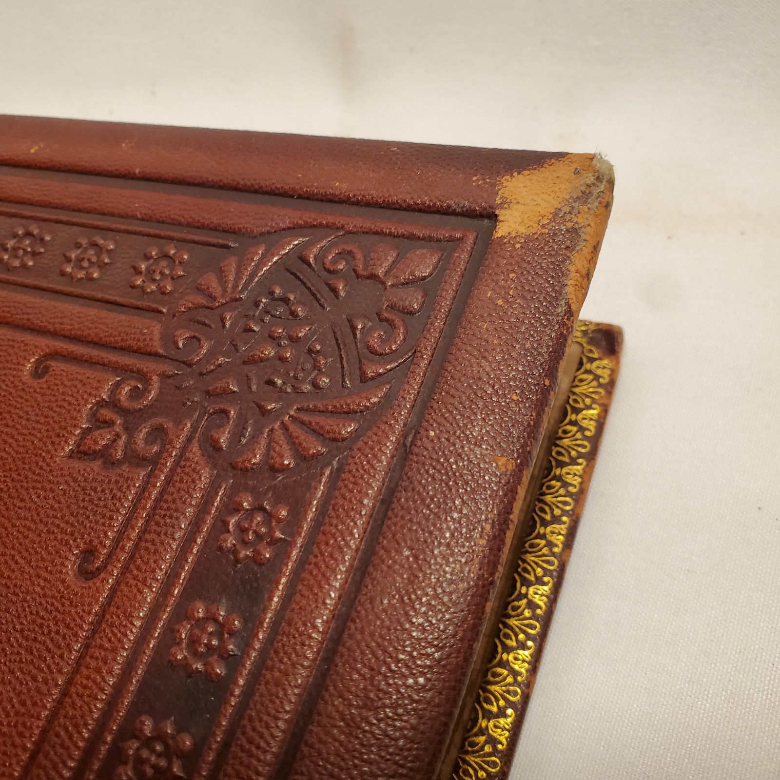 Voyages & Travels L. De Colange Vols 1 & 2 1887 1st Edition FULL LEATHER, GILT