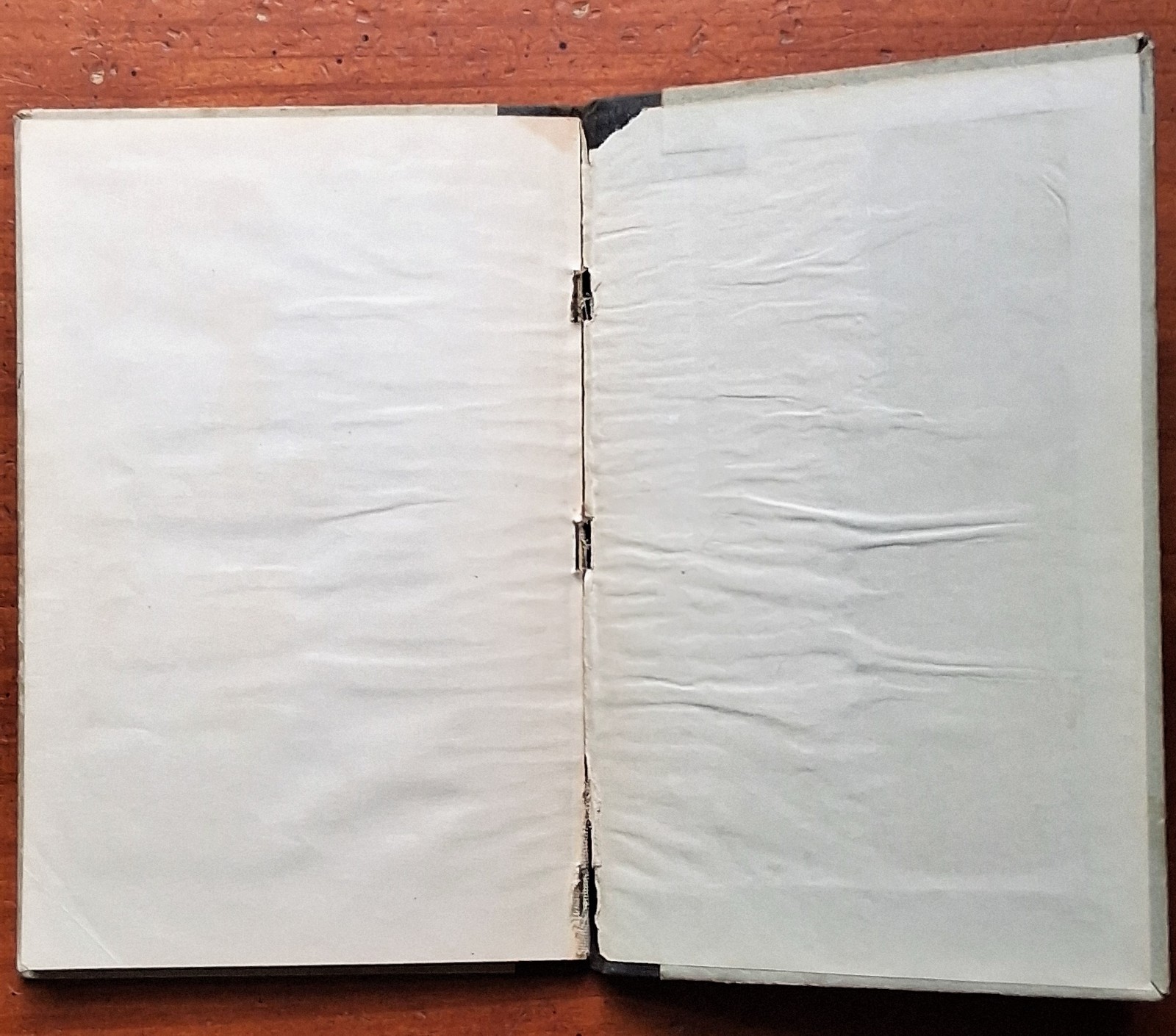 Lessons in Good Manners & Morals 1932 School for Deaf Faribault MN HC Guide Book