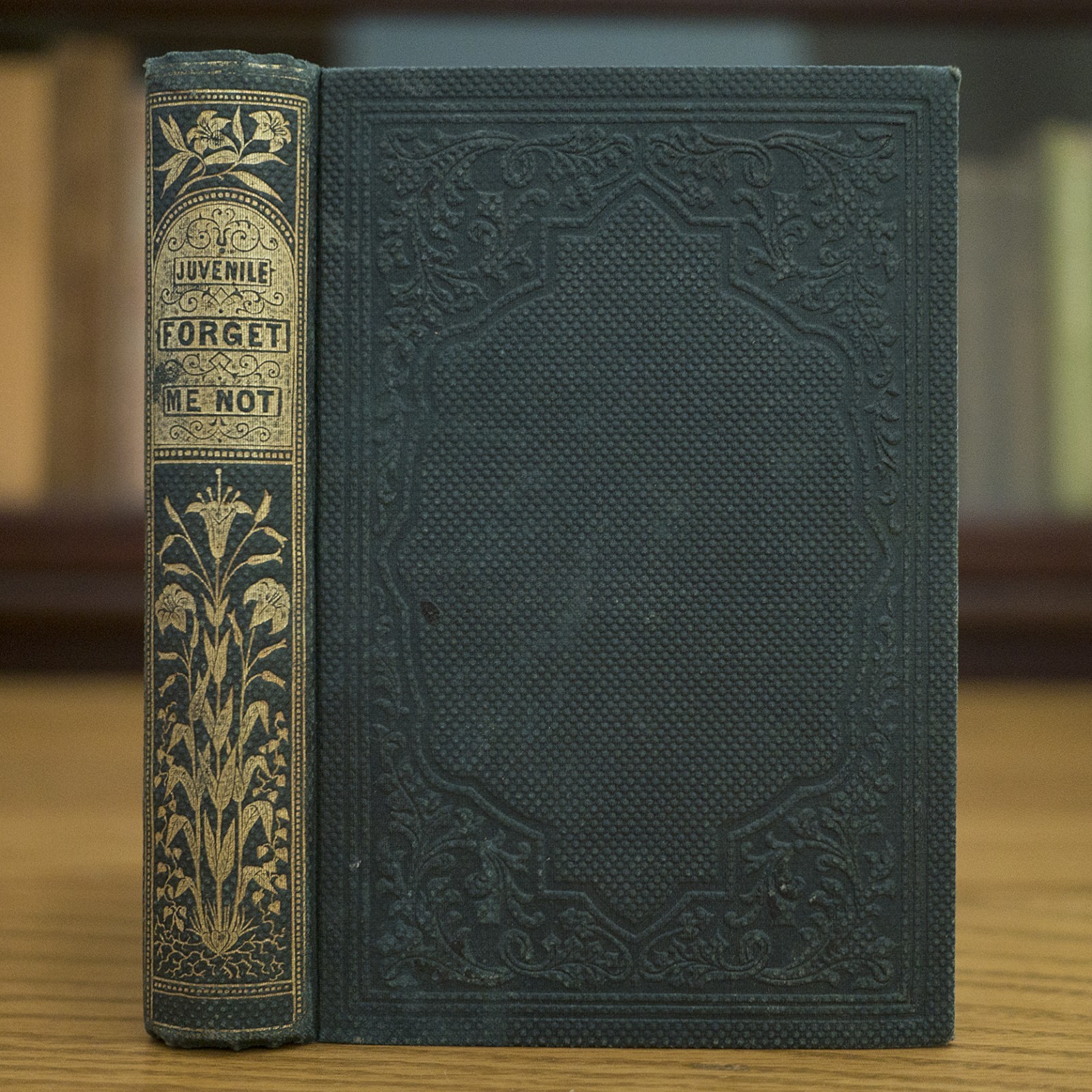 1864 RARE VICTORIAN ANTIQUE BOOK POETRY TALES FAIRY WITCH ELF DEMON SPRITE DEVIL