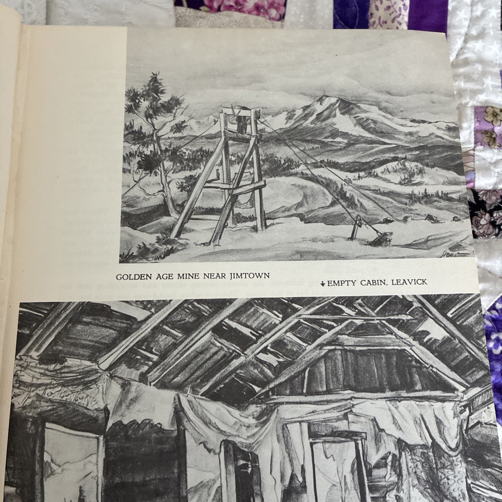 Stampede to Timberline Muriel Sibell Wolle 1957 Western Mining History