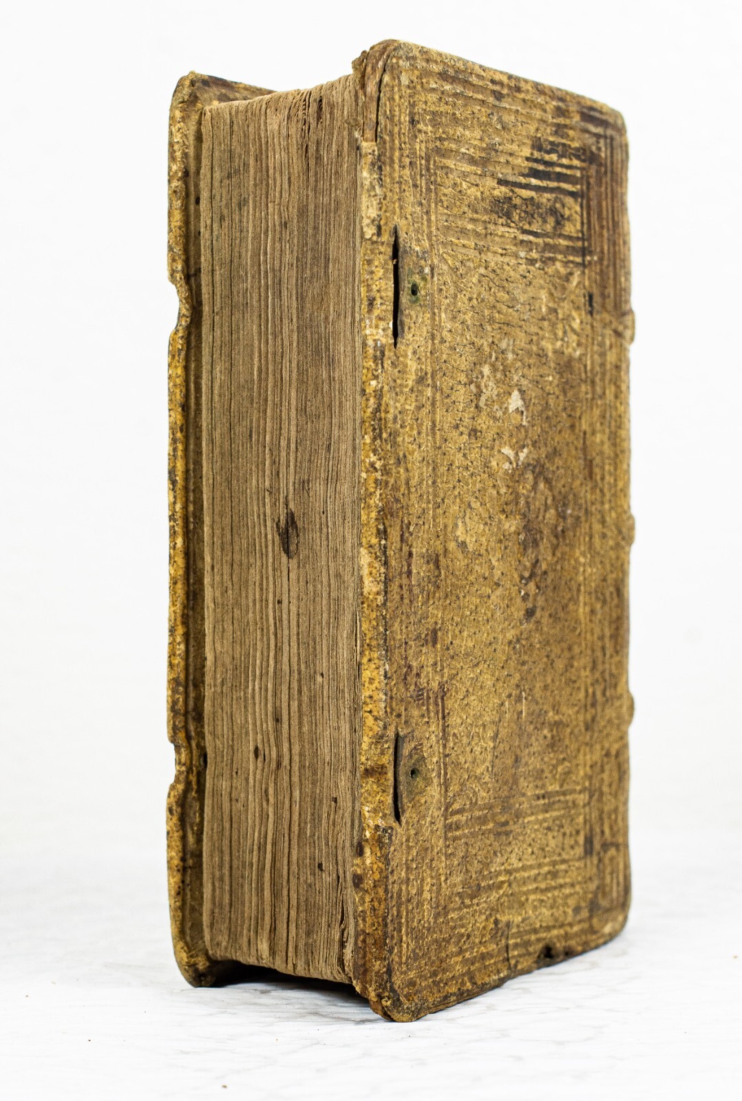 MDCX 1610 FLORES ELEGANTISSI MARUM GERMANICAE ET LATINAE LANGUAE PHRASIUM B484