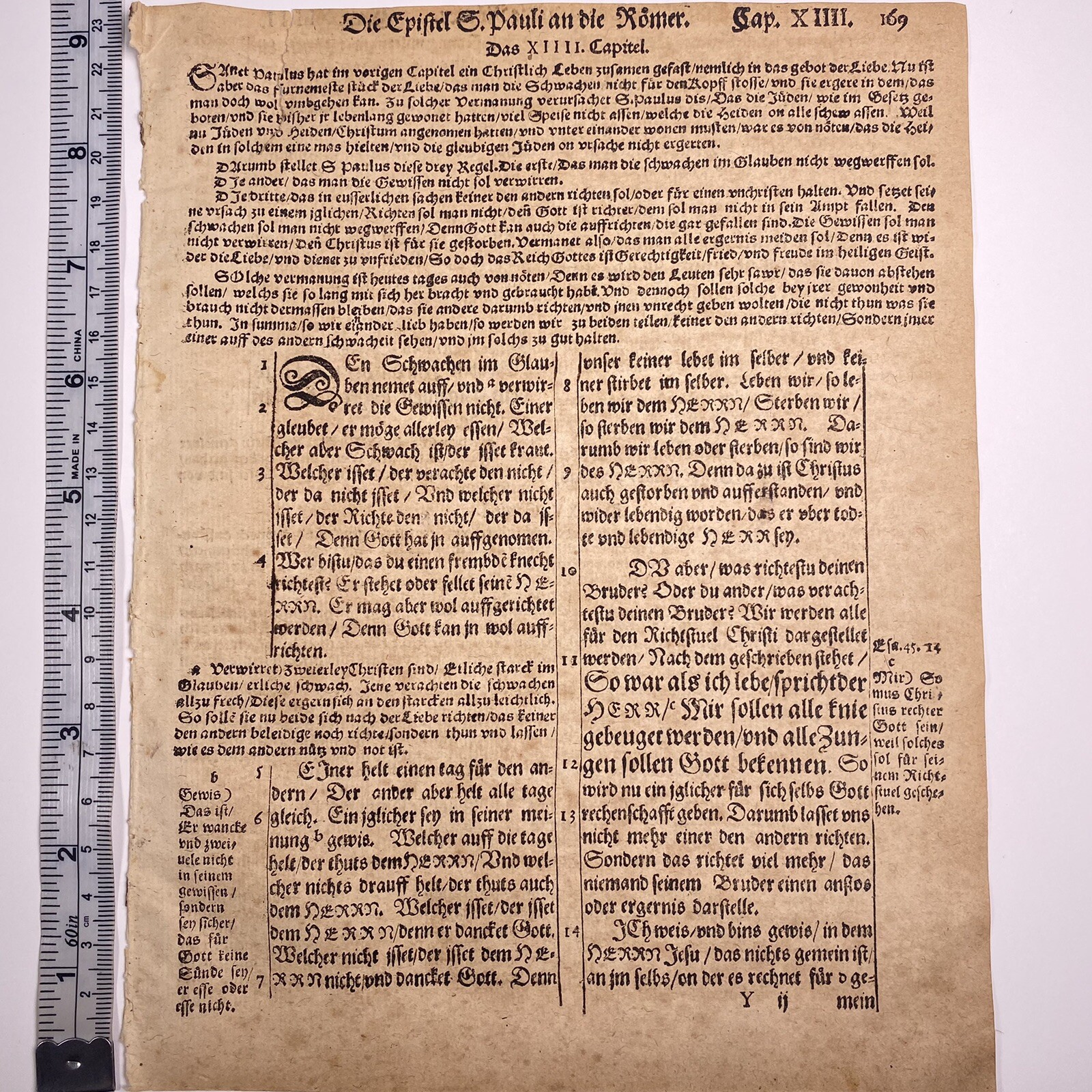 1595 Martin Luther Bible Page Romans Chpt 14 W/ Certificate Of Authenticity