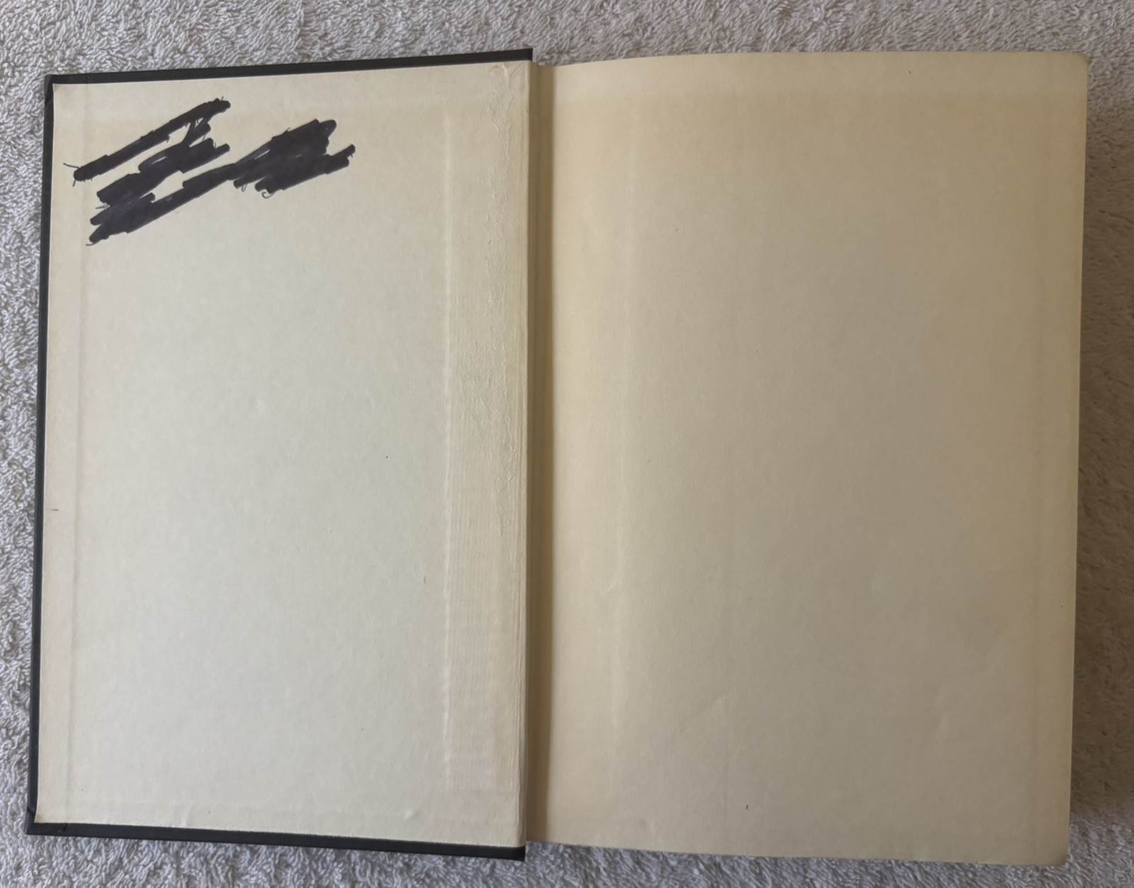 Vintage HC Poetry book by CARL SANDBURG, The People, Yes, 1936