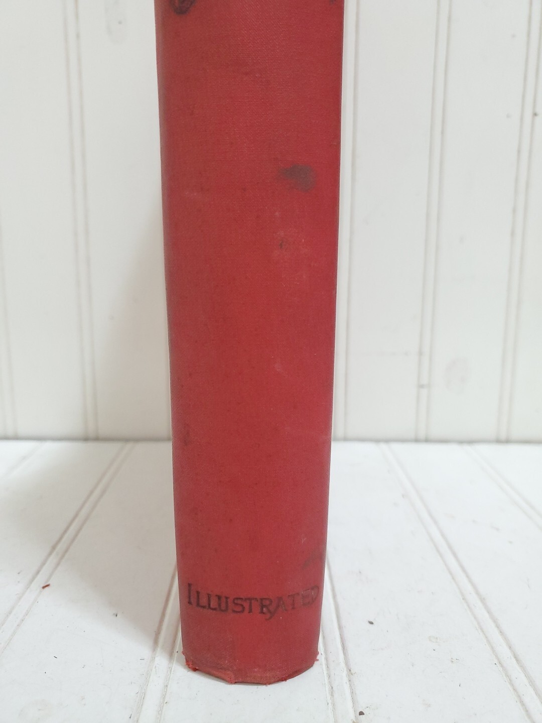 Scarce Antique 1898 Book THE WORLD’S UNKNOWN by JW BUEL Illustrated History