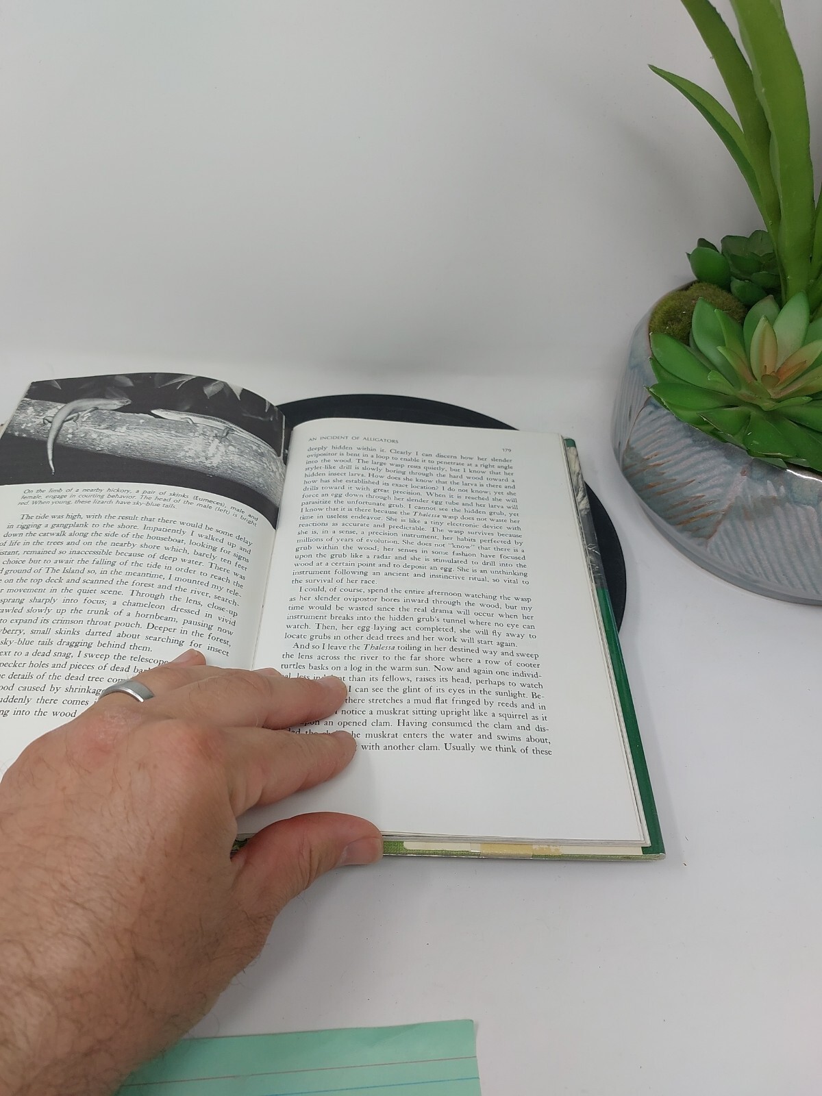 Ross E Hutchins / Island of Adventure Naturalist Explores Gulf Coast 1st ed 1968