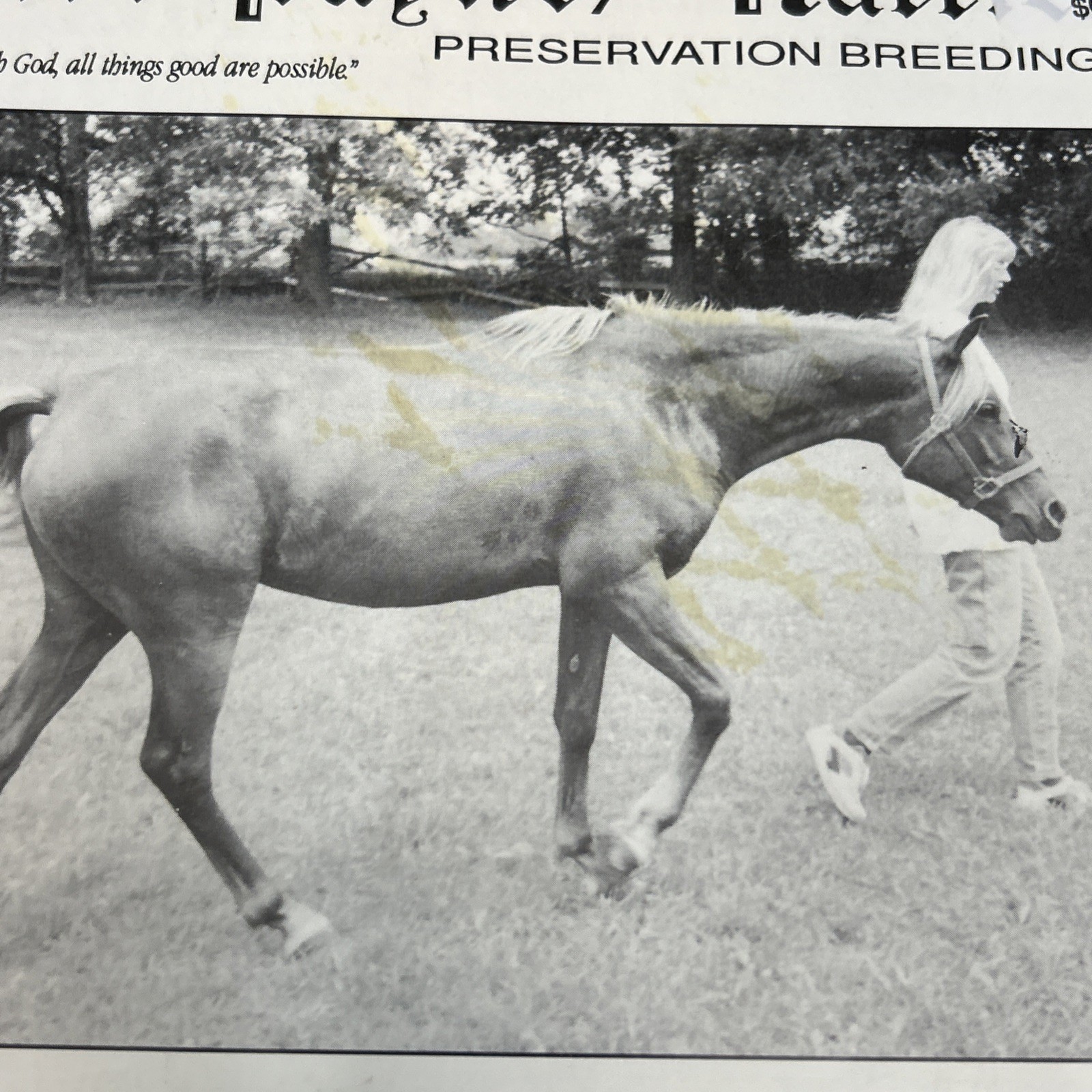 Arabian Visions Magazine Horse May – June 1997 Vintage