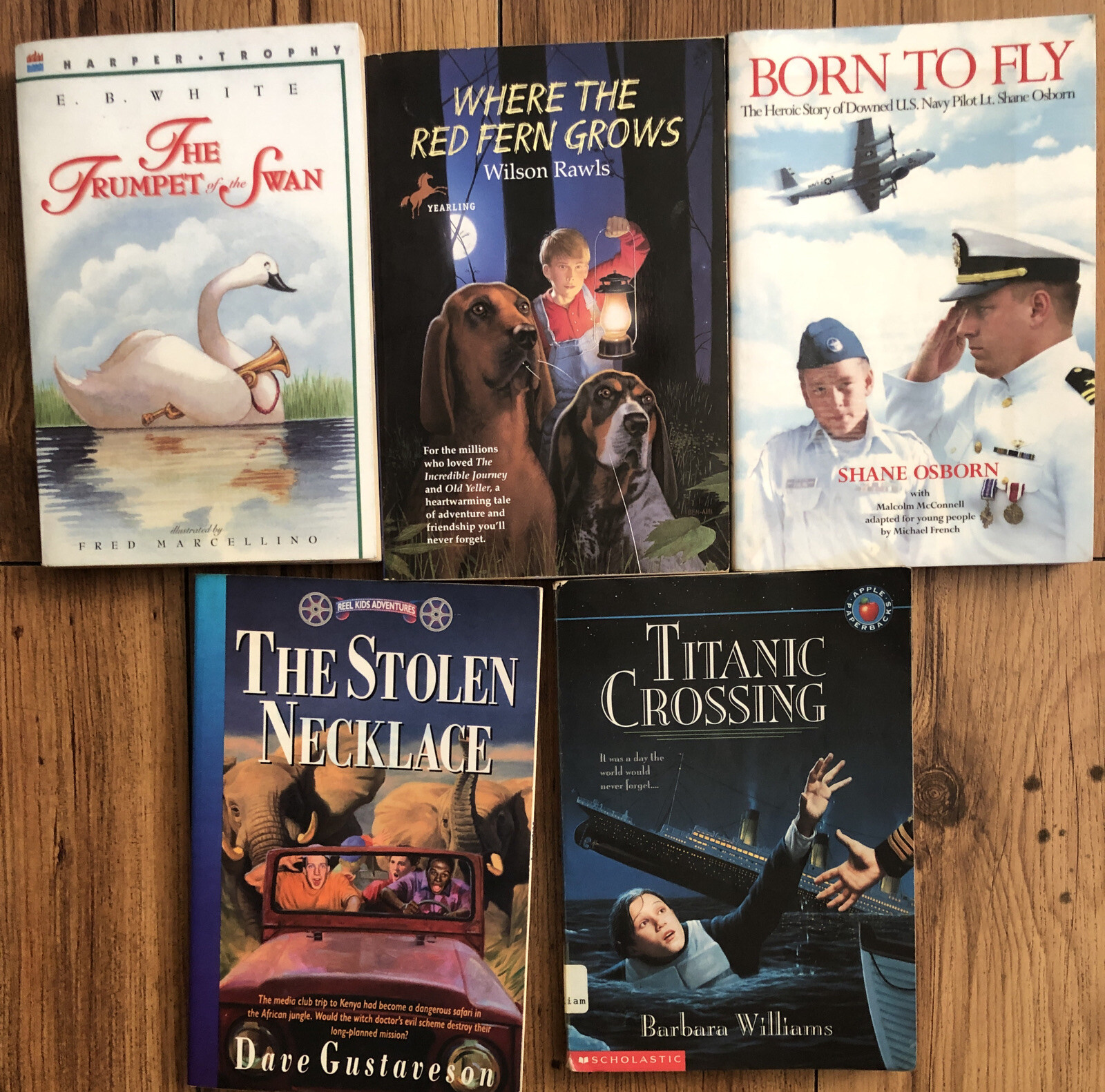 Lot of 20 Chapter Children Young YOUTH RANDOM UNSORTED BOOKS MIX Exlib #10