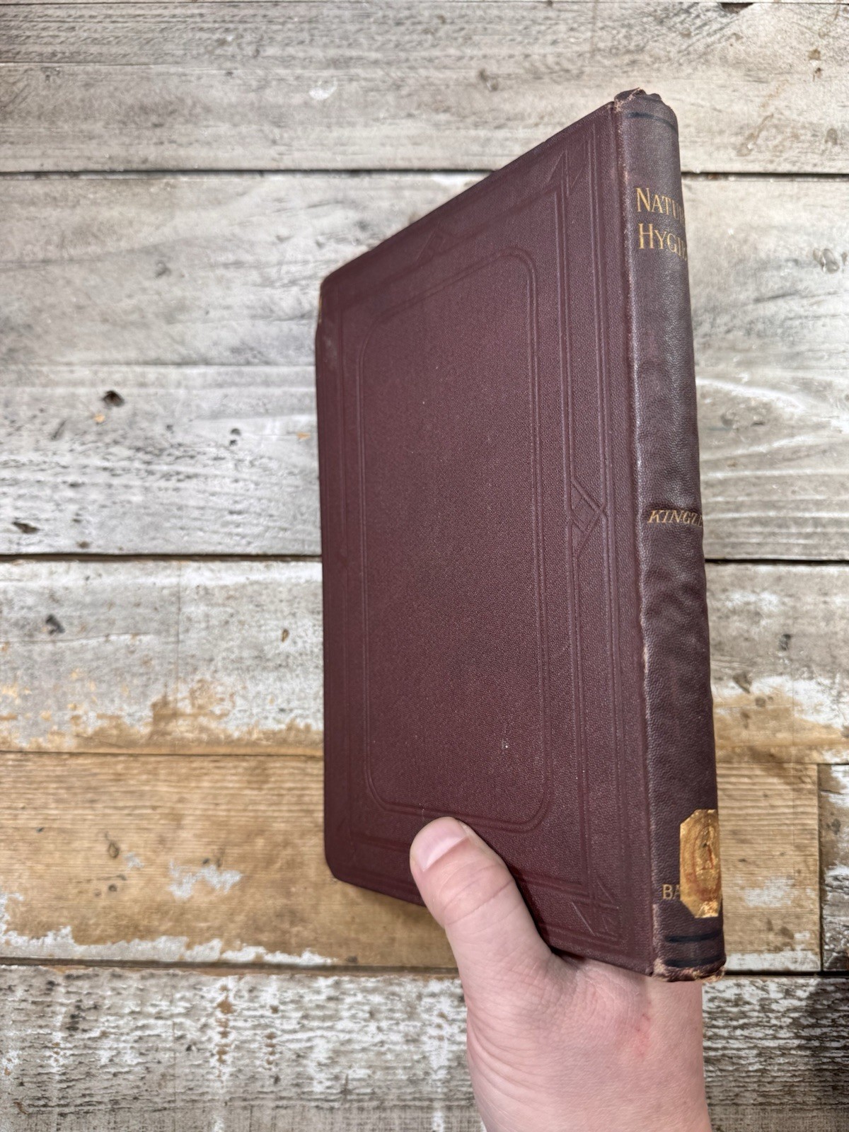 1880 Antique Health, Medical Book “Nature’s Hygiene” Kingzett, SIGNED