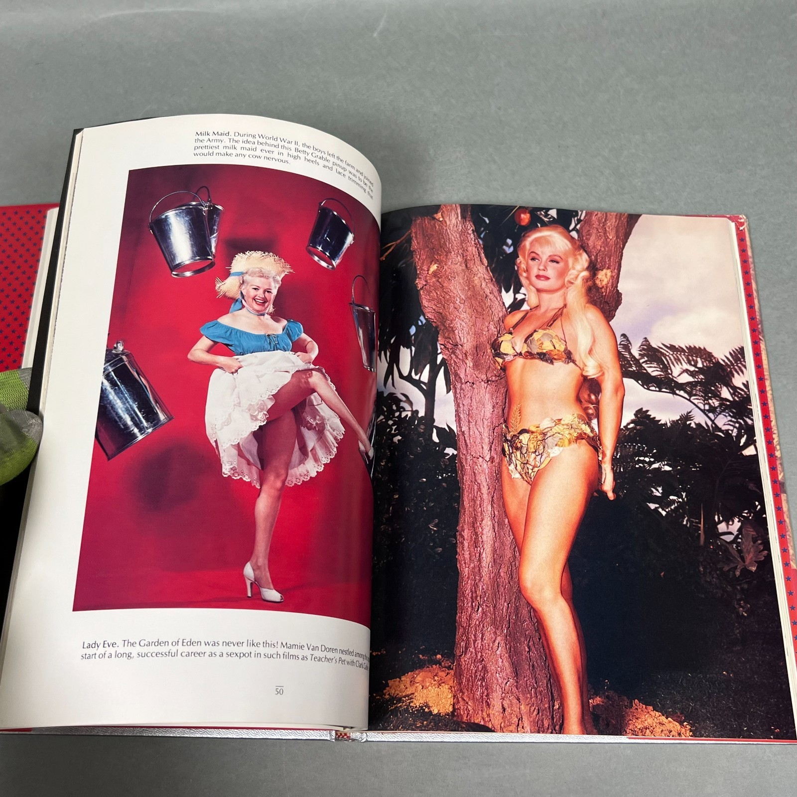Screen Dreams The Hollywood Pinup Kobal Collection Photos 1ST Printing HARDCOVER